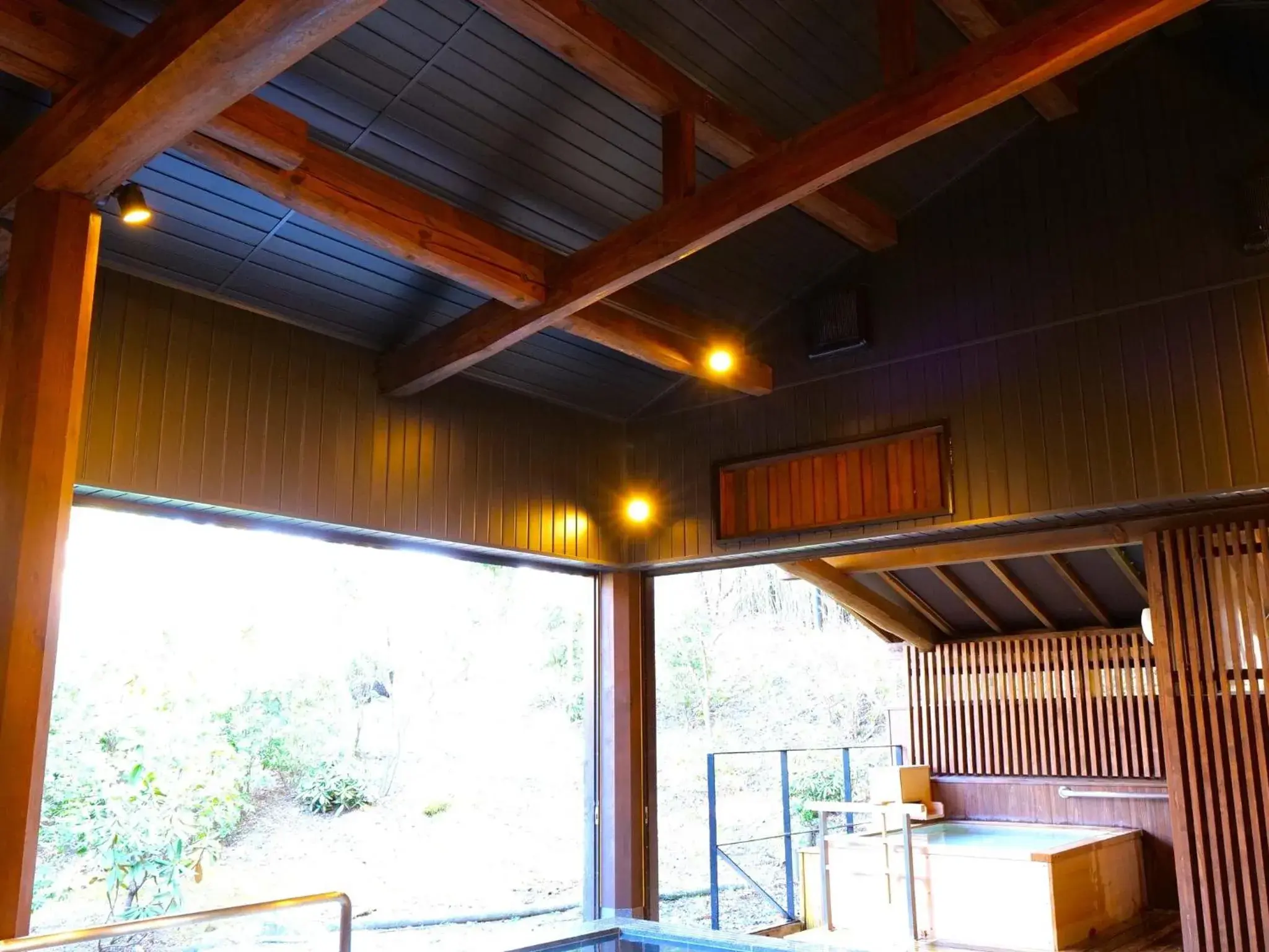 Nikko Hoshino Yado Nikko Hoshino Yado