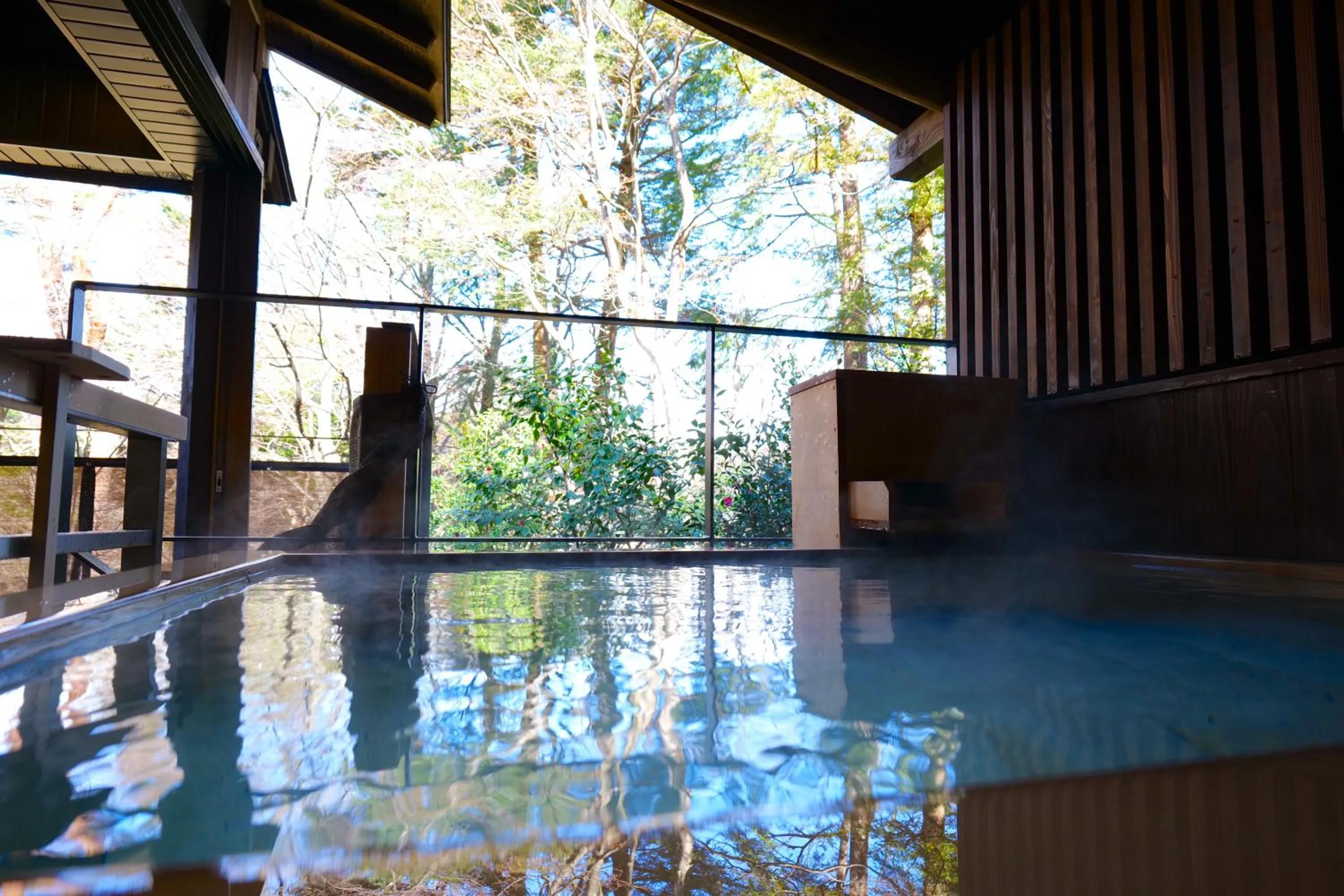 Public Bath in Nikko Hoshino Yado
