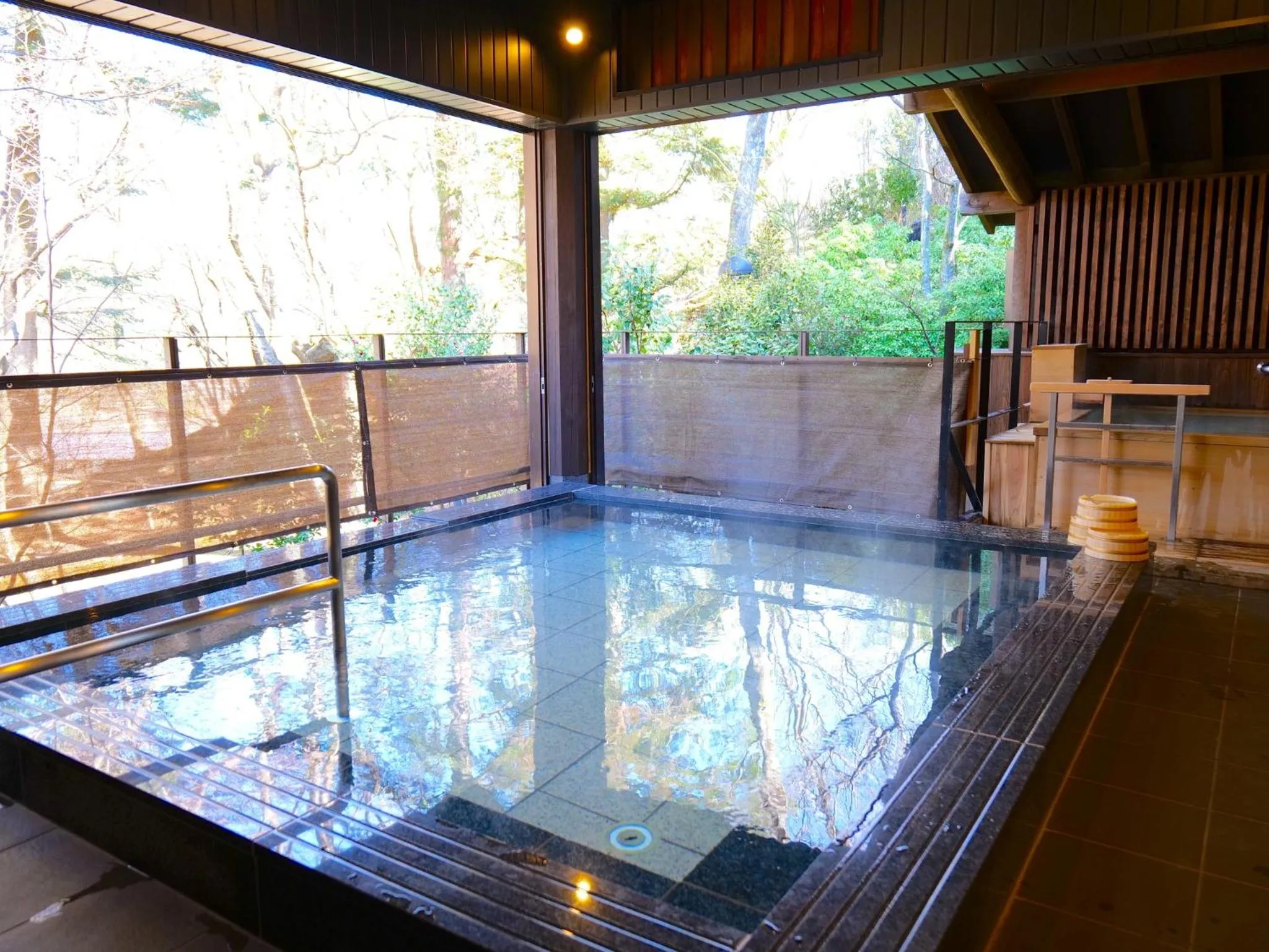 Public Bath in Nikko Hoshino Yado