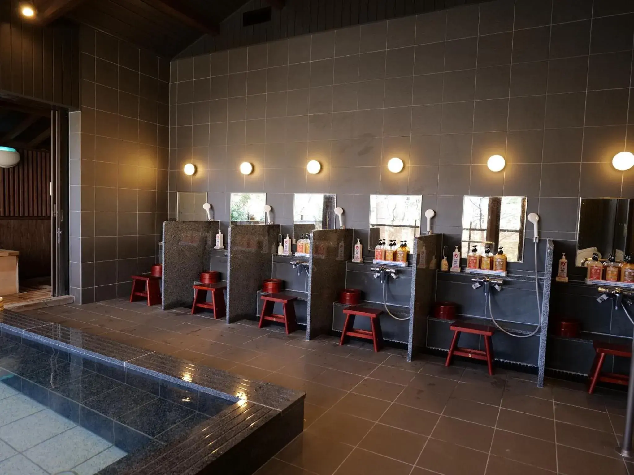 Nikko Hoshino Yado Nikko Hoshino Yado