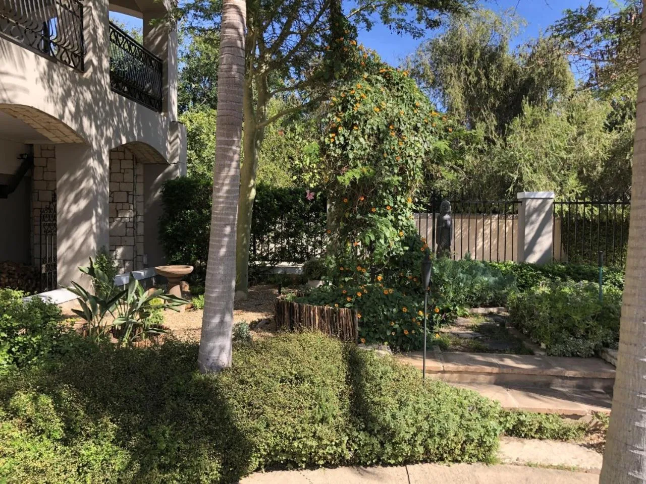 Garden in African Palm Cottage and Guesthouse