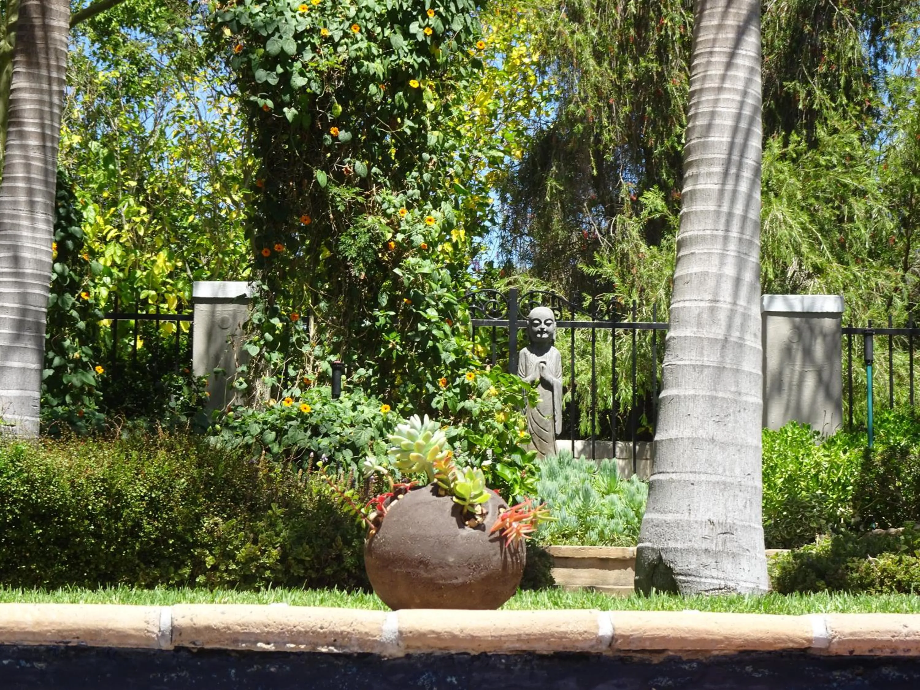 Garden in African Palm Cottage and Guesthouse