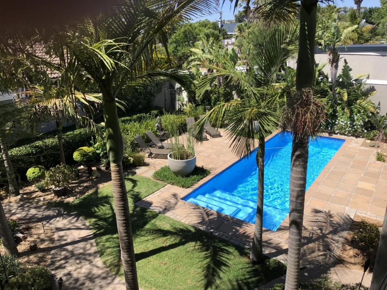 Swimming pool in African Palm Cottage and Guesthouse