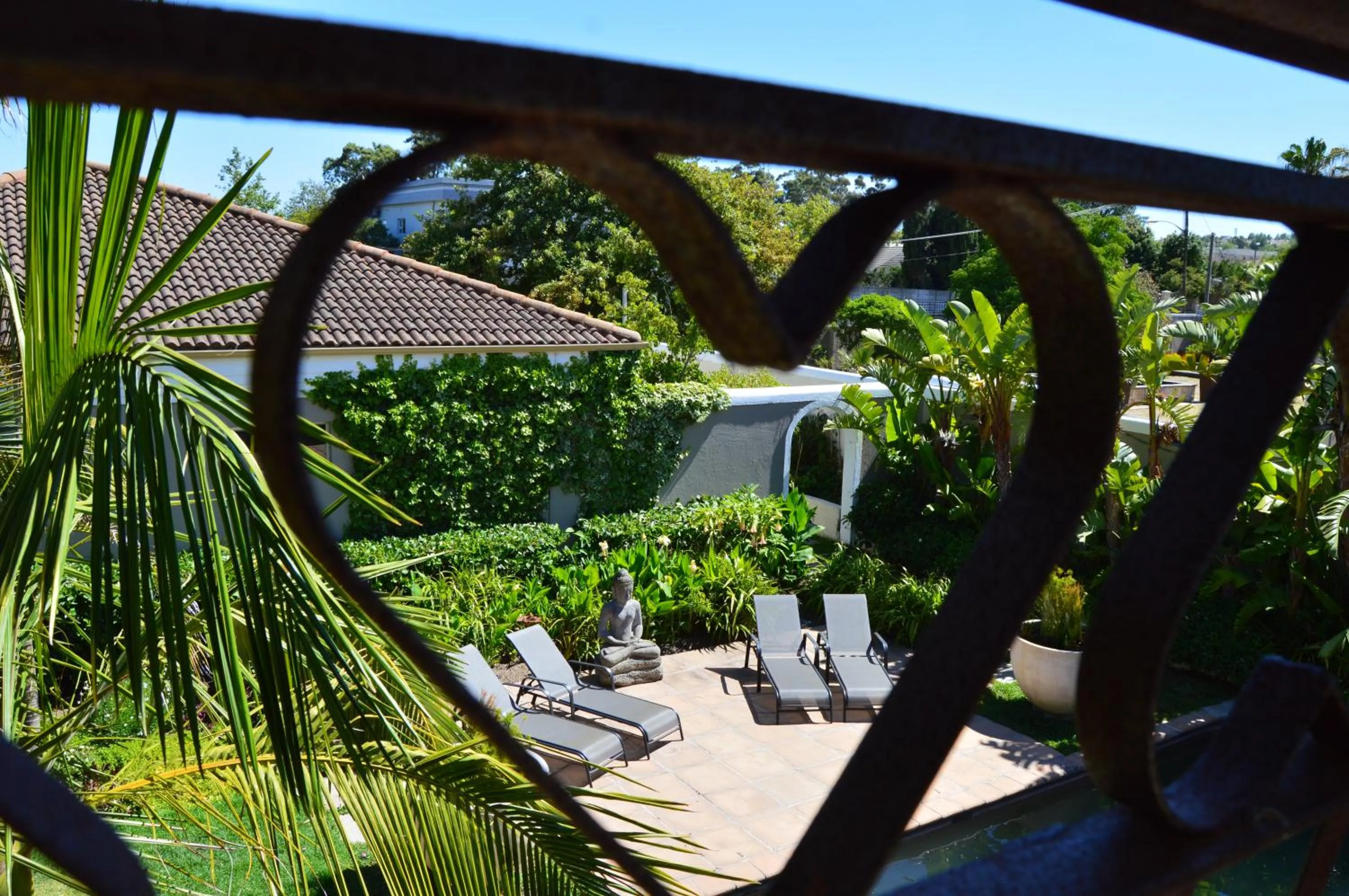 Swimming pool in African Palm Cottage and Guesthouse