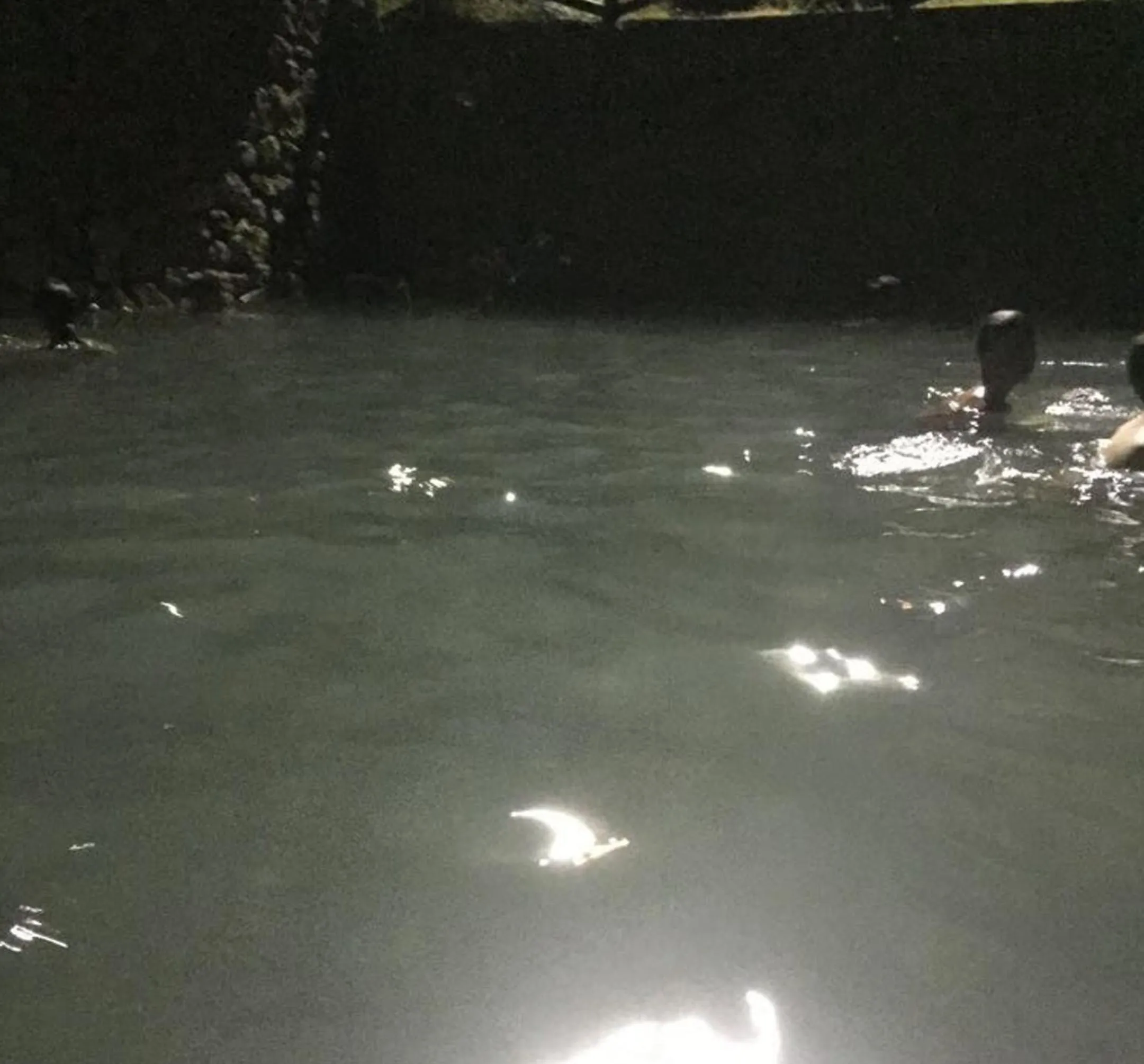 Hot Spring Bath in Lo sguardo sul golfo