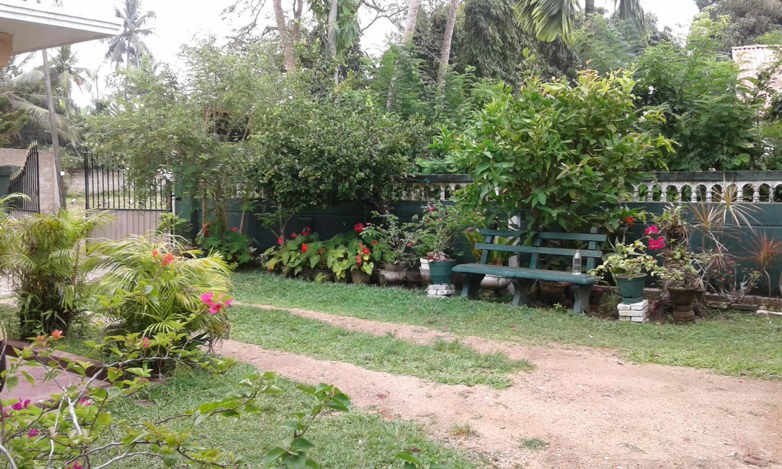 Budget Double Room in Ocean edge villa