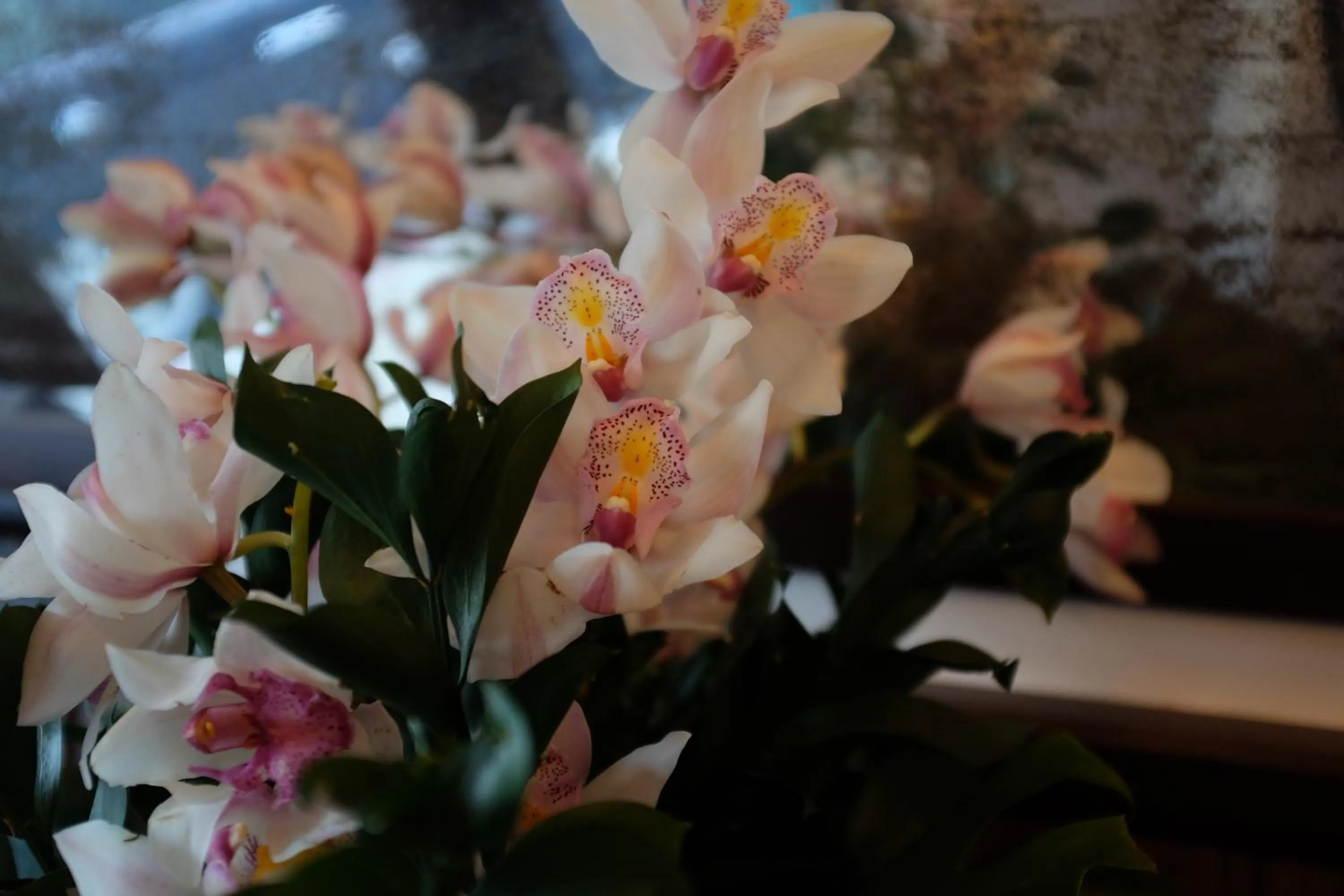 Lobby or reception in 1905 Heritage Corner