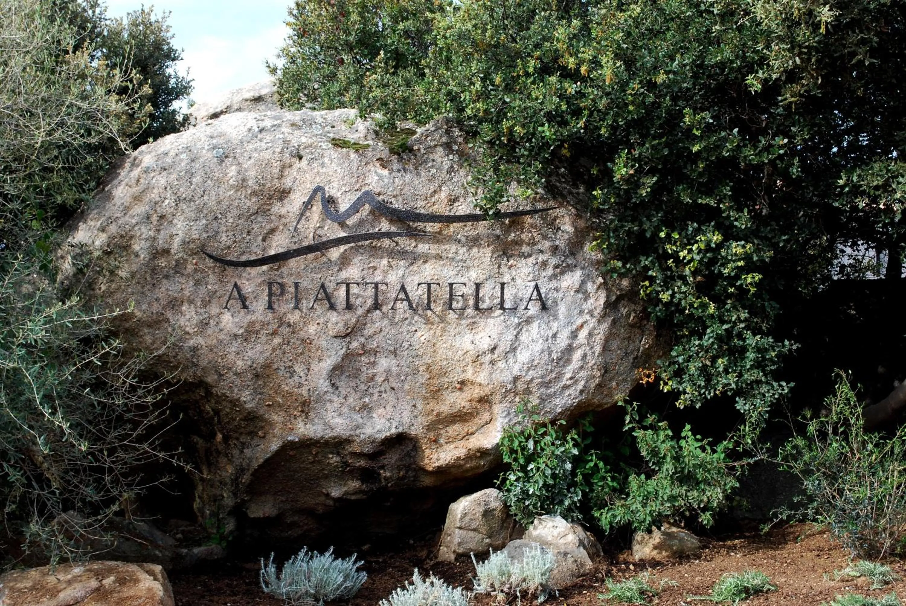 Area and facilities in Hotel A Piattatella