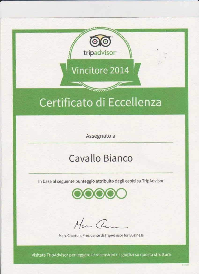 Certificate/Award in Cavallo Bianco