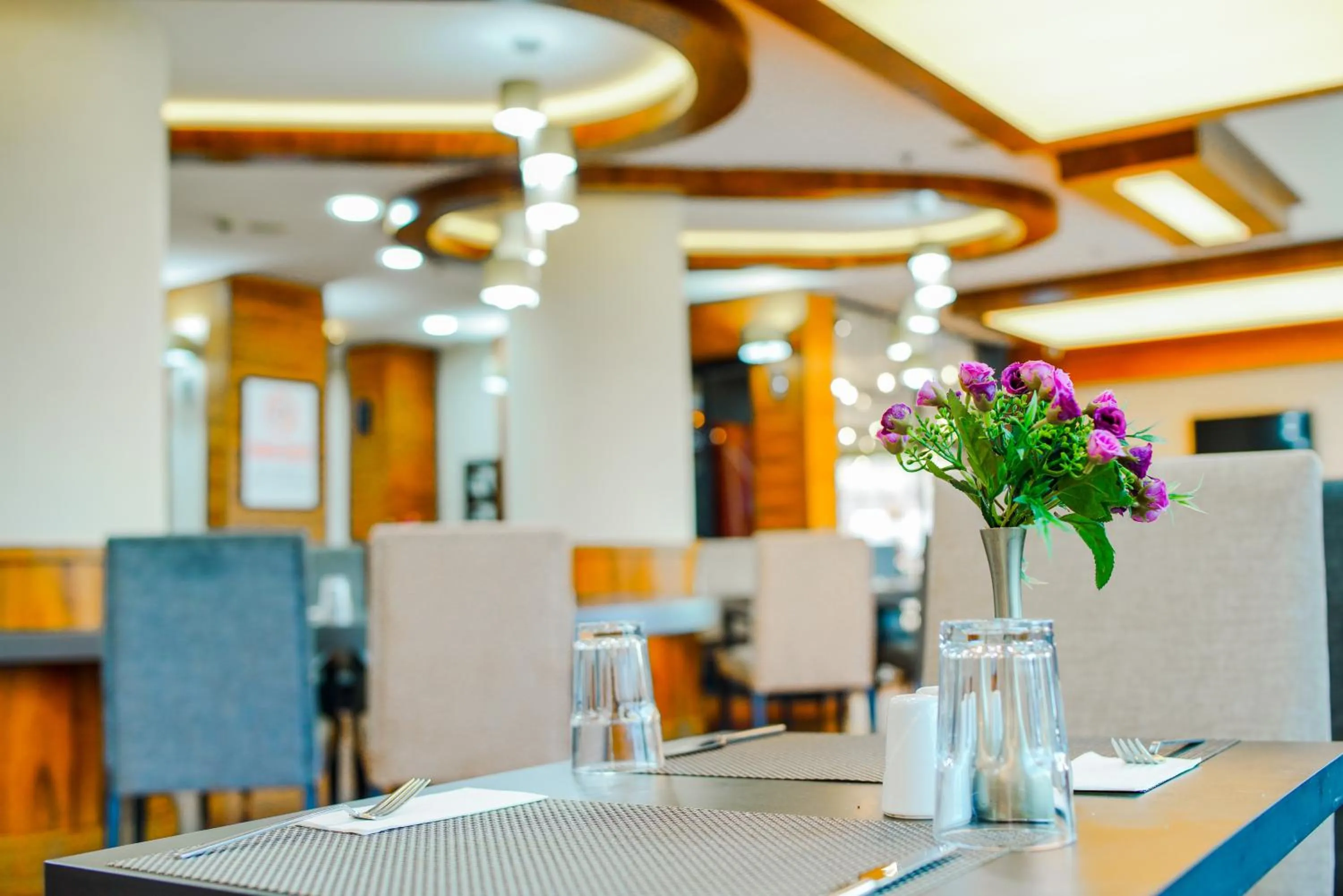 Restaurant/places to eat in New Park Hotel