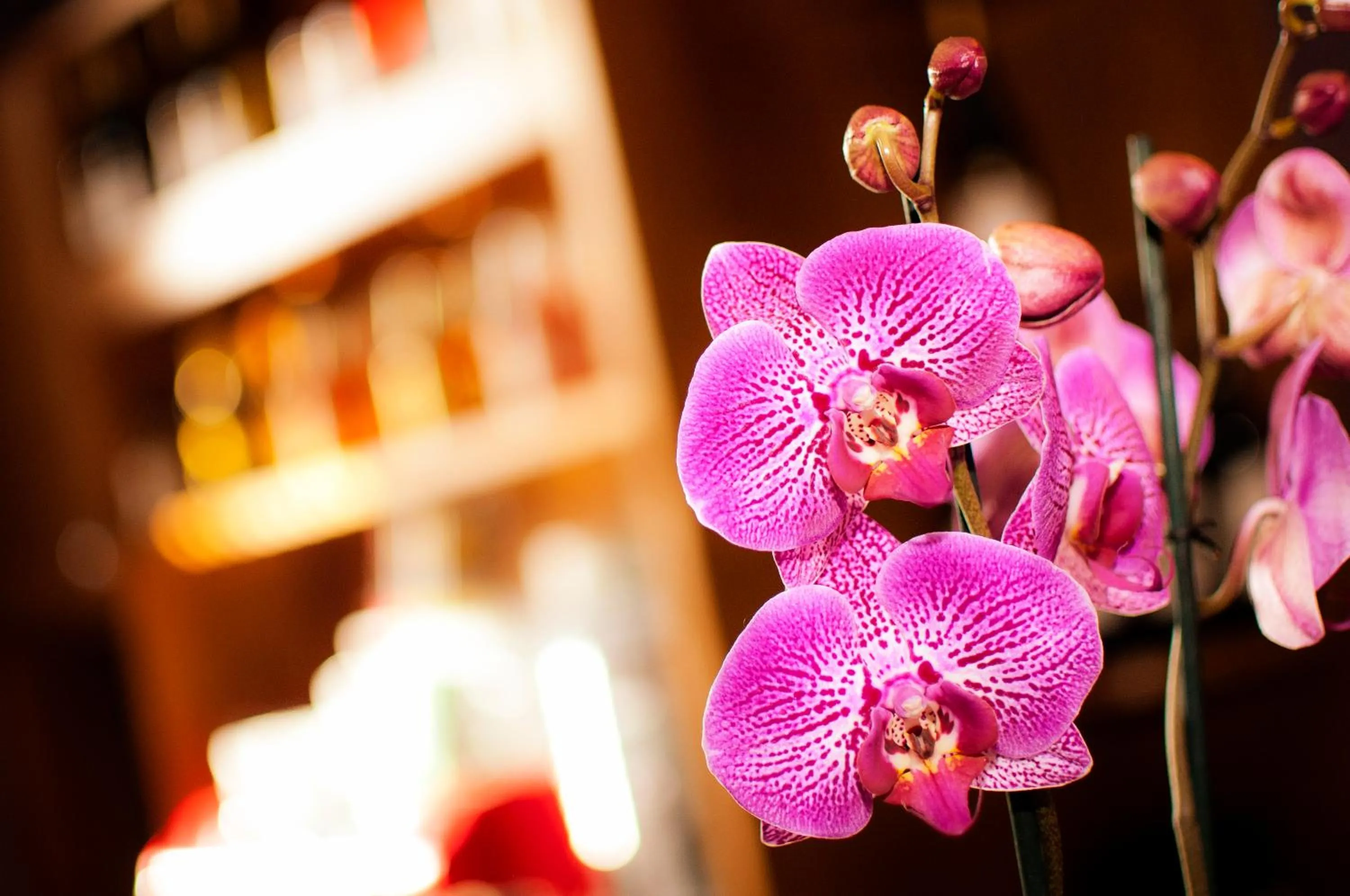 Other in YHA Canterbury