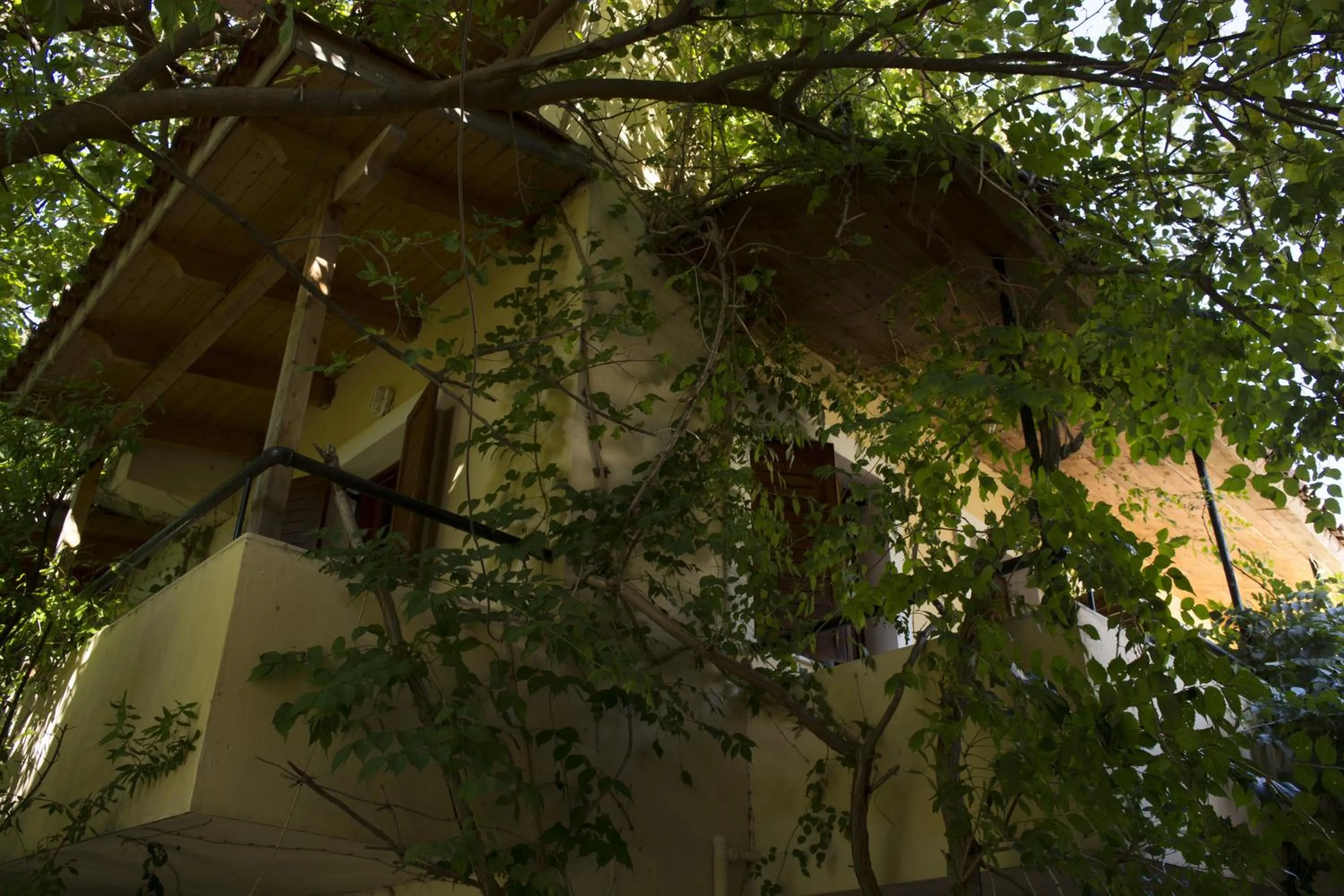 Property building in Staggia Studios