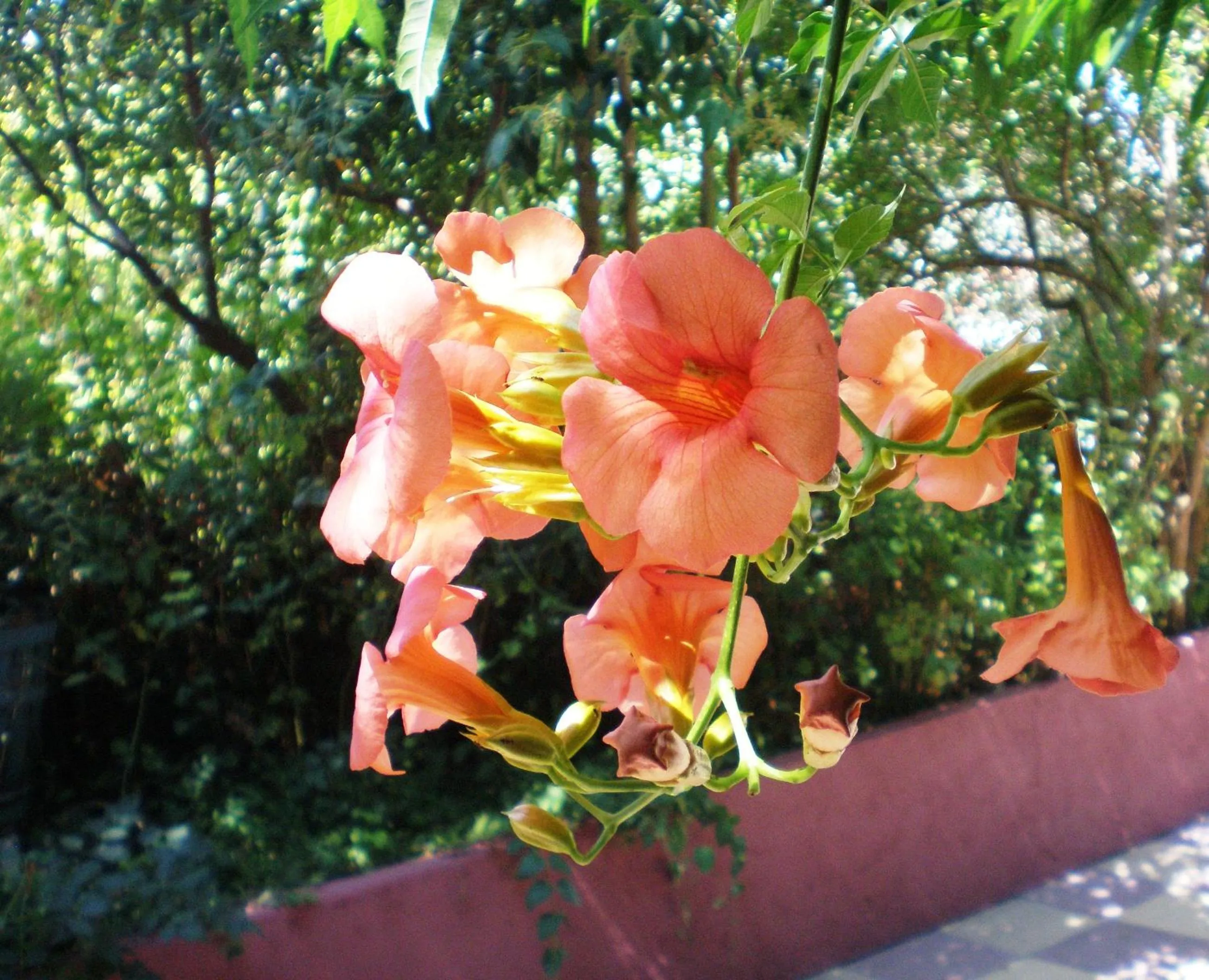 Other in Staggia Studios