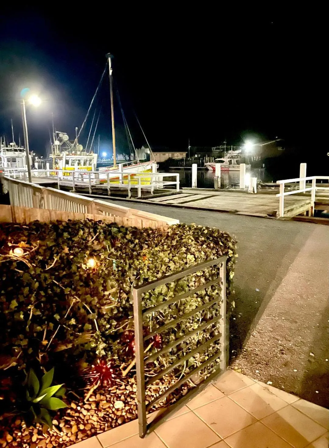 River view in Edge17 Waterfront Apartment, plus Cottage with Garden View - Port Fairy