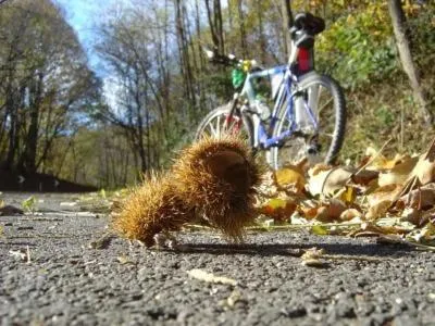 Other in Albergo Grappolo D'oro