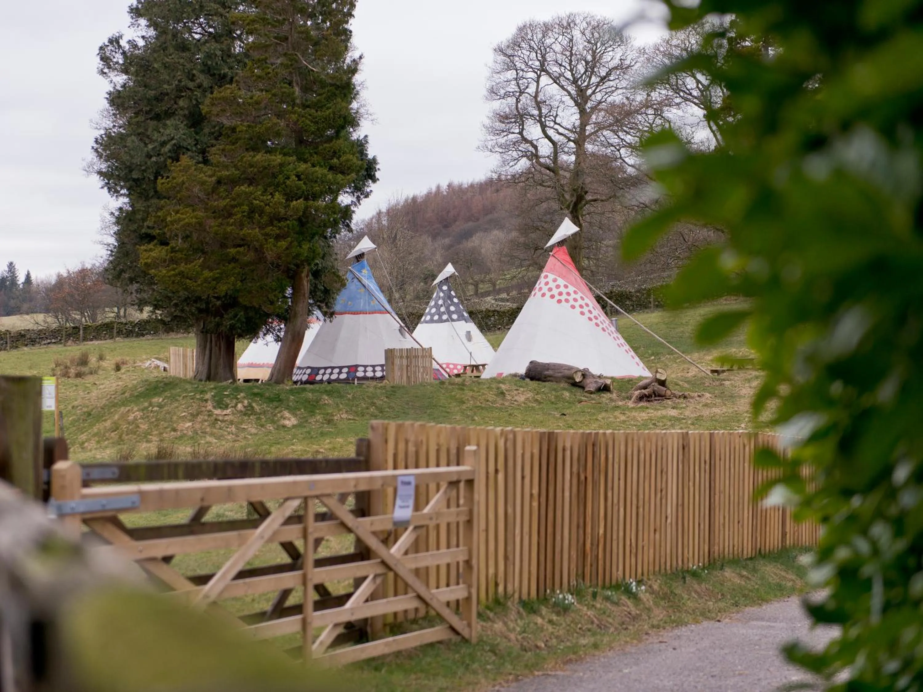 Natural landscape in YHA Windermere