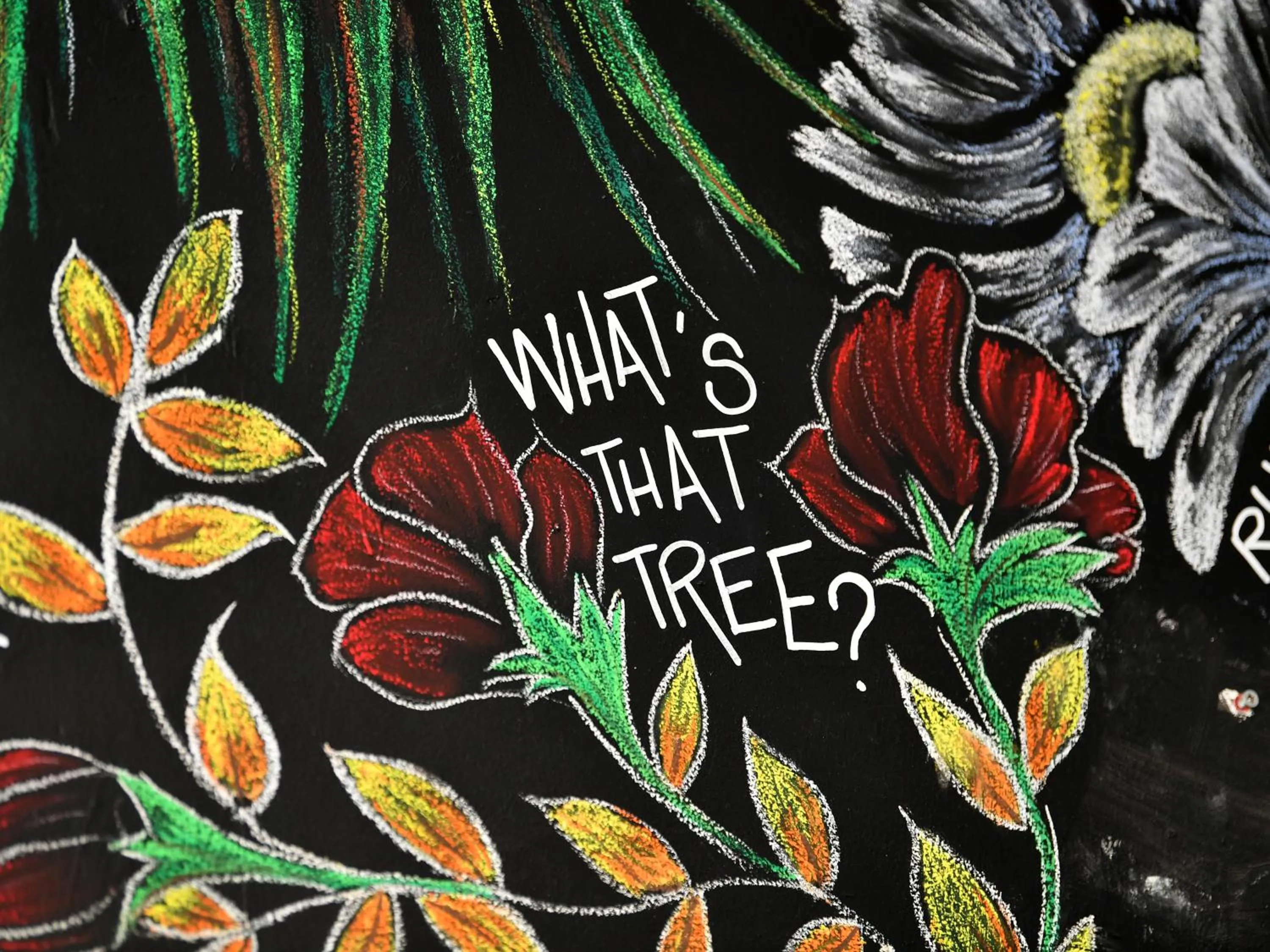 Decorative detail in YHA Windermere