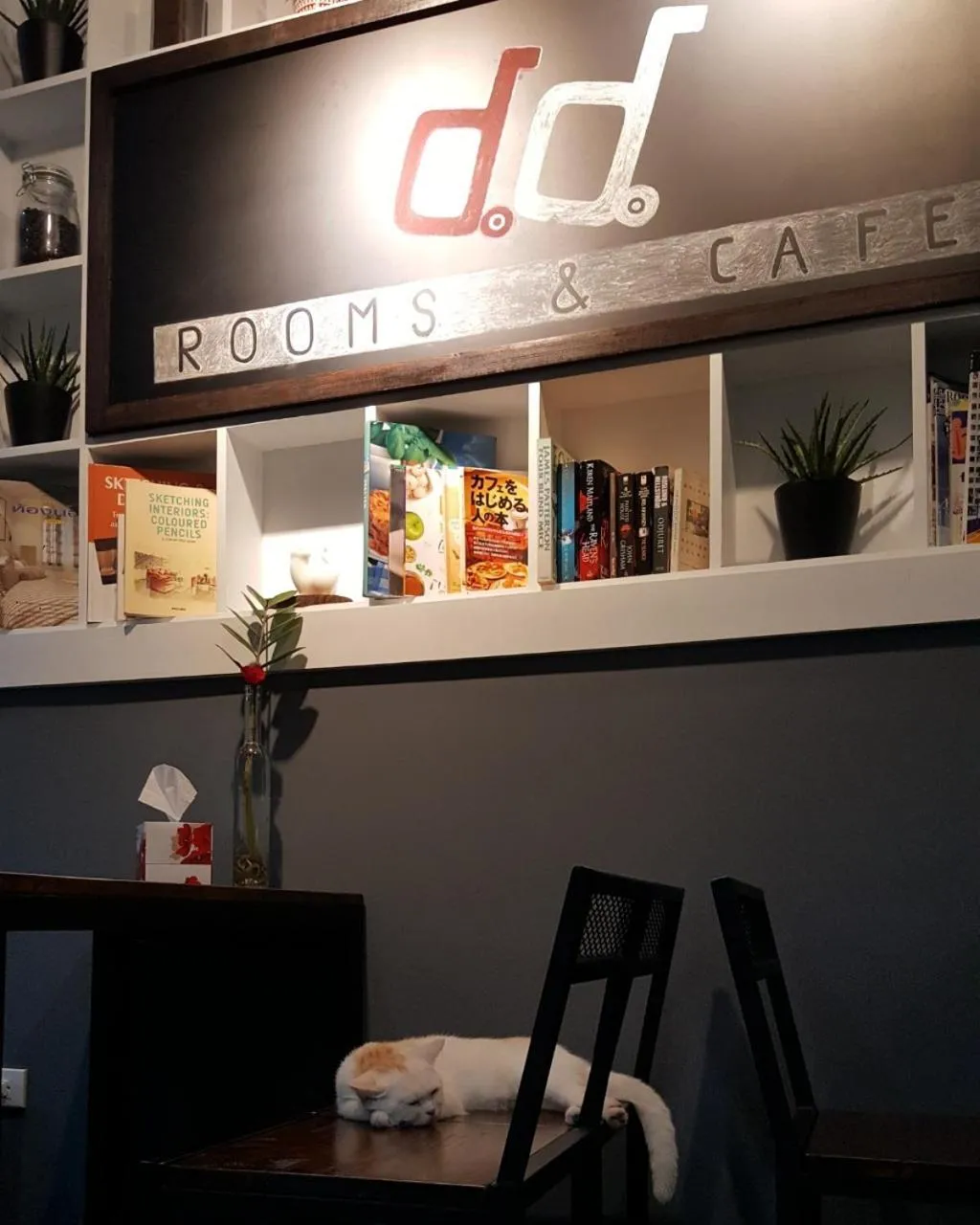 Double D Rooms & Cafe