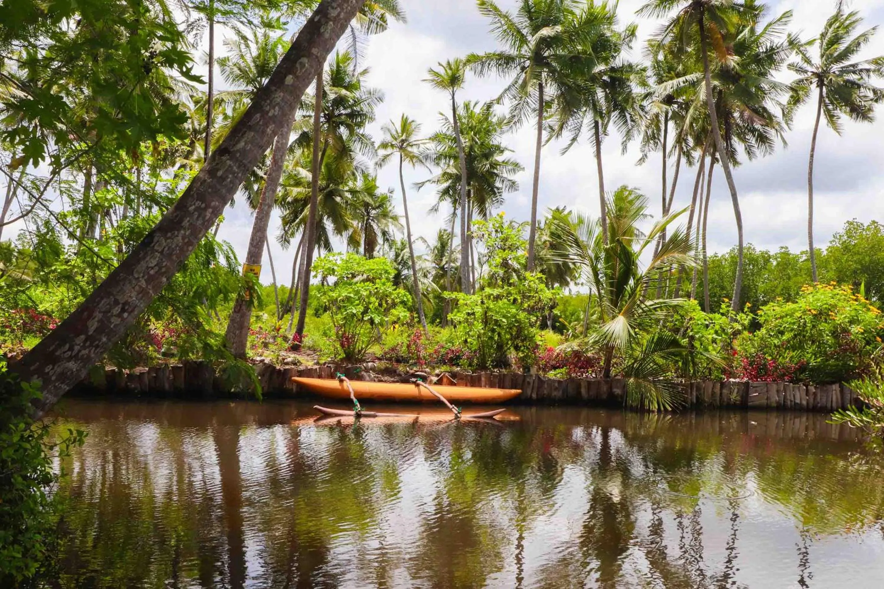 Natural landscape in Milkyway Holiday Resort