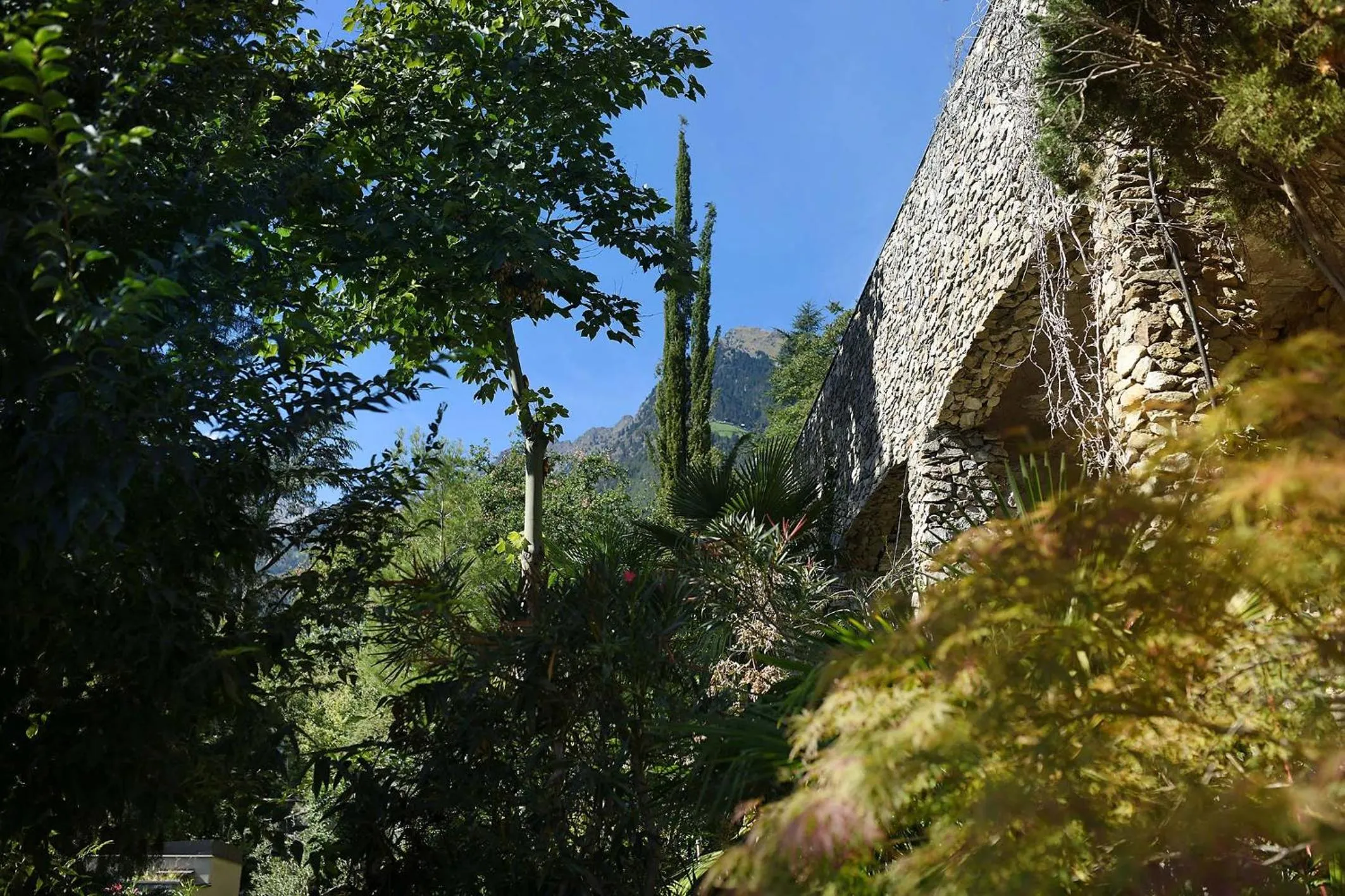 Garden view in Villa Verdi Apartments