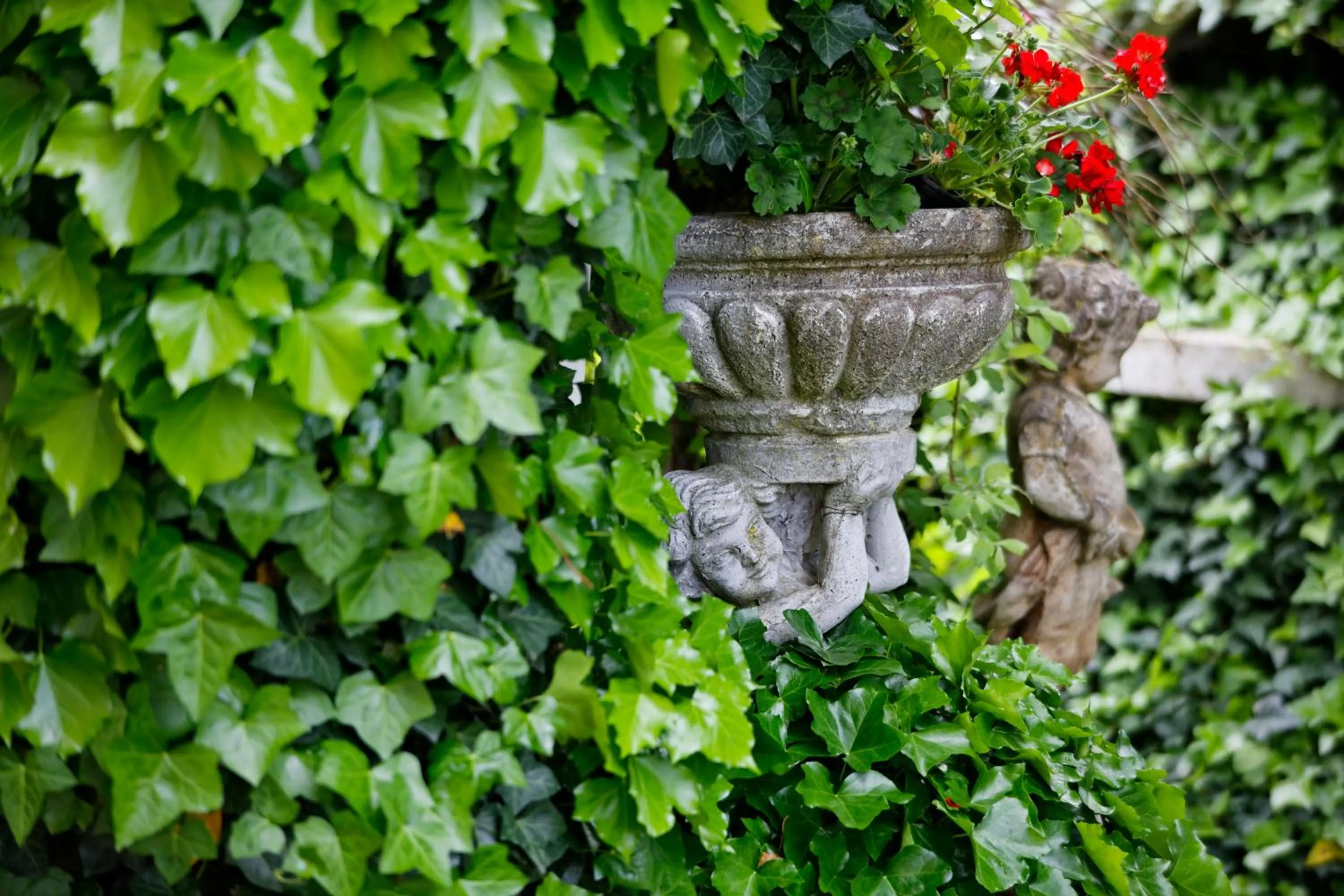 Garden in Hotel Stenitzer