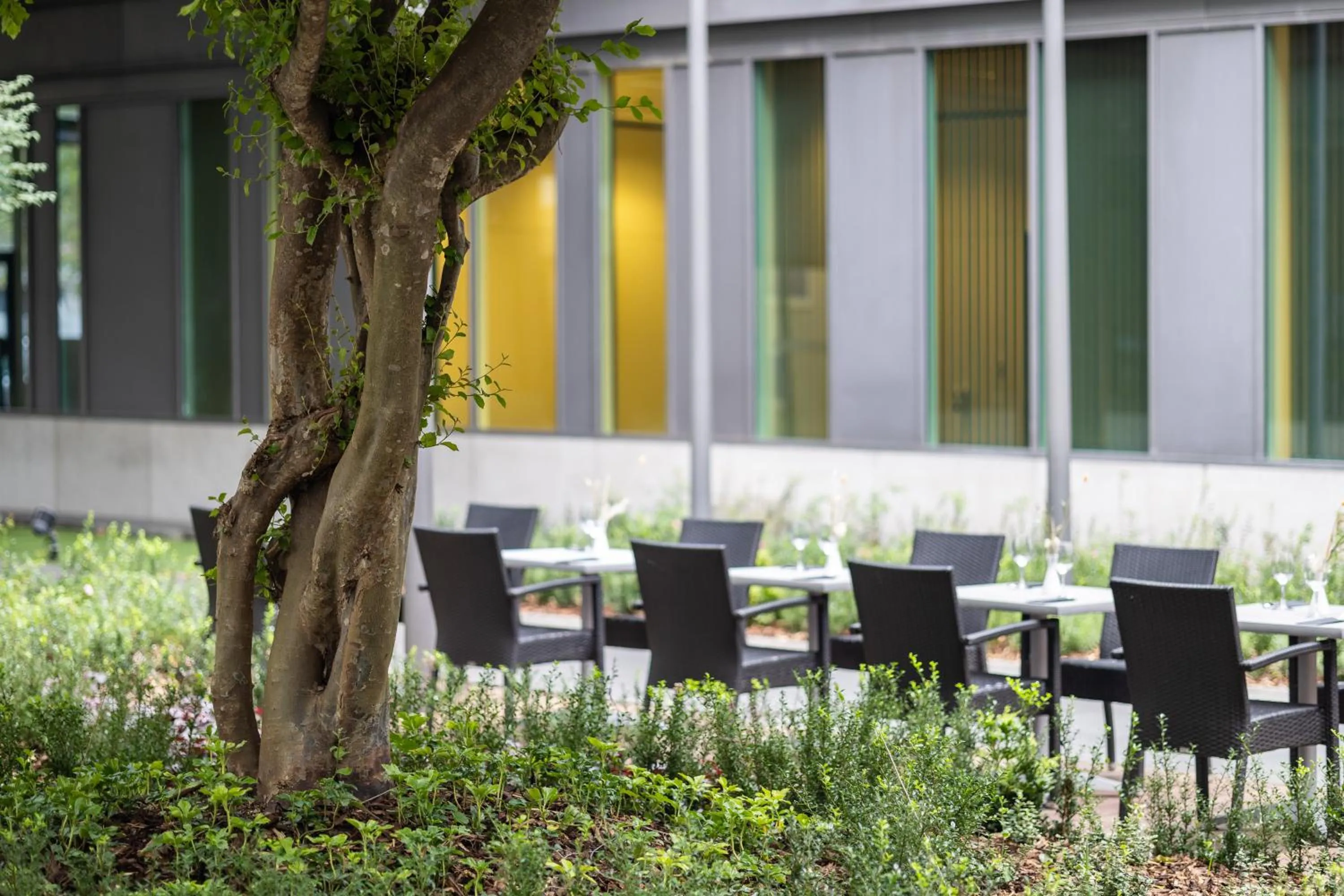 Patio in Radisson Hotel Brussels Centre Midi