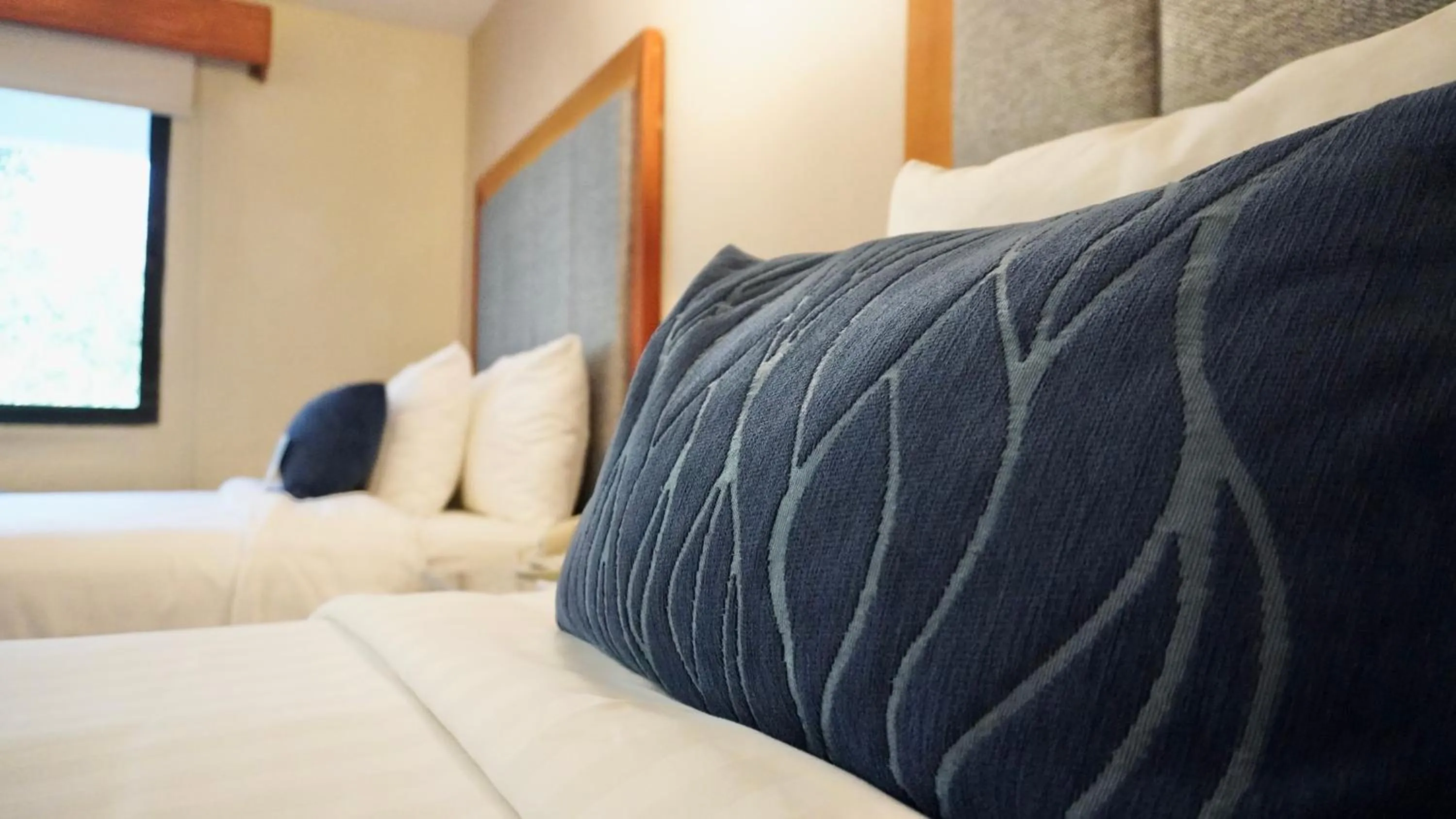 Bed in Comfort Inn Cordoba