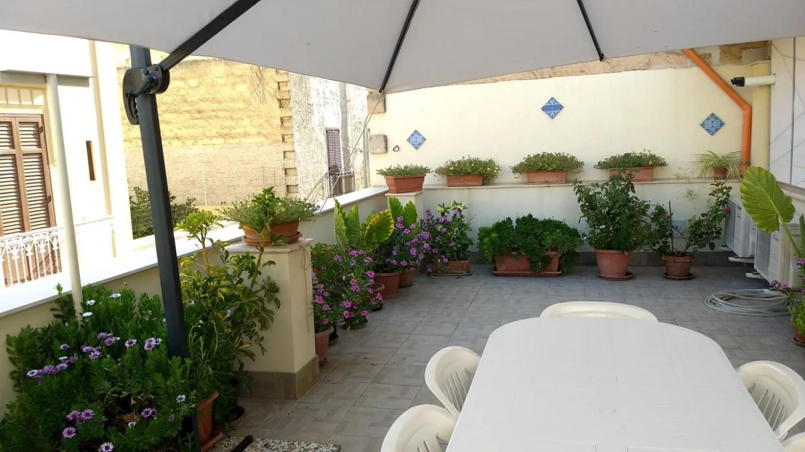 Sole di Trapani