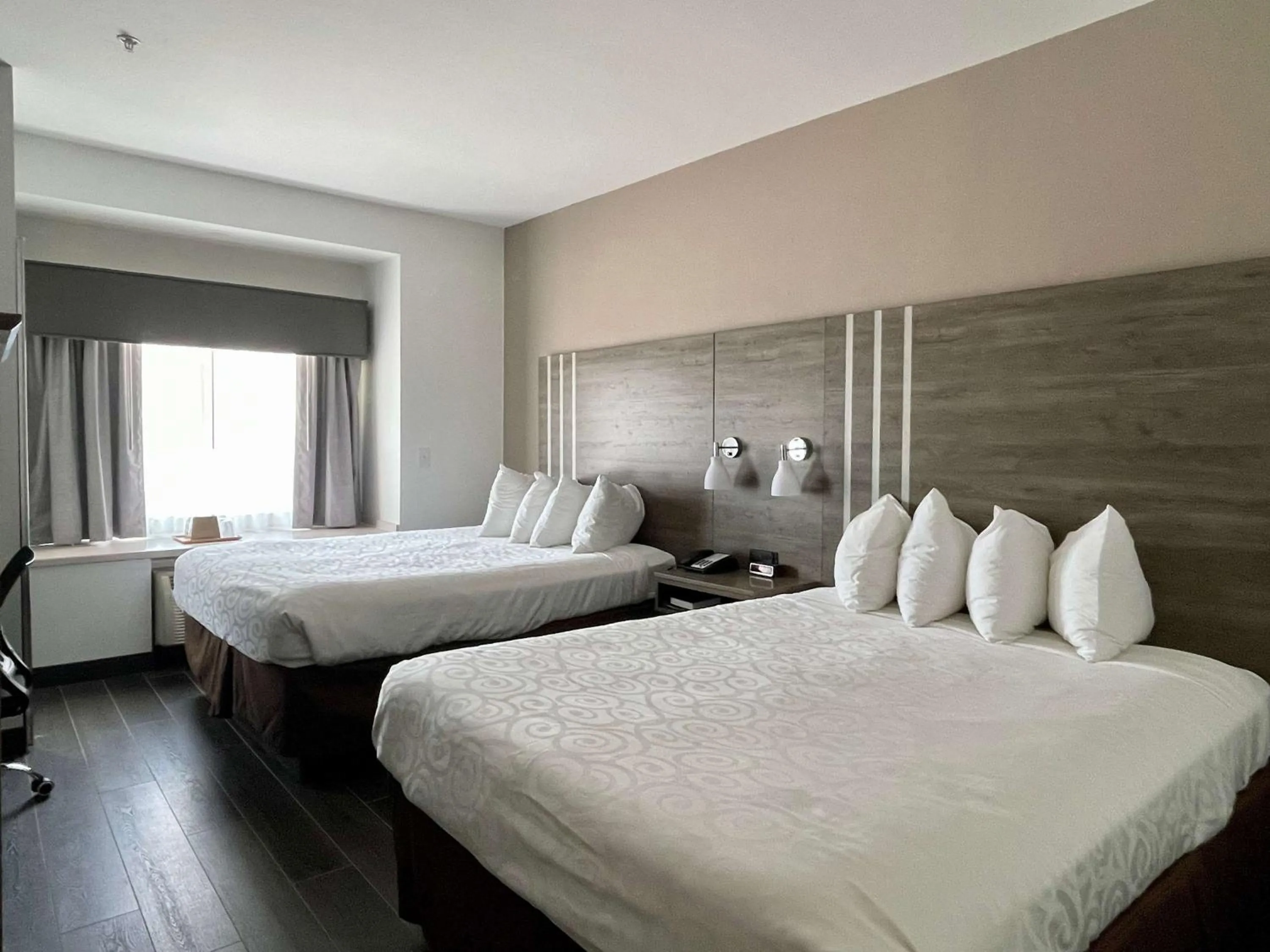 Bedroom, Bed in Best Western Roanoke Inn & Suites