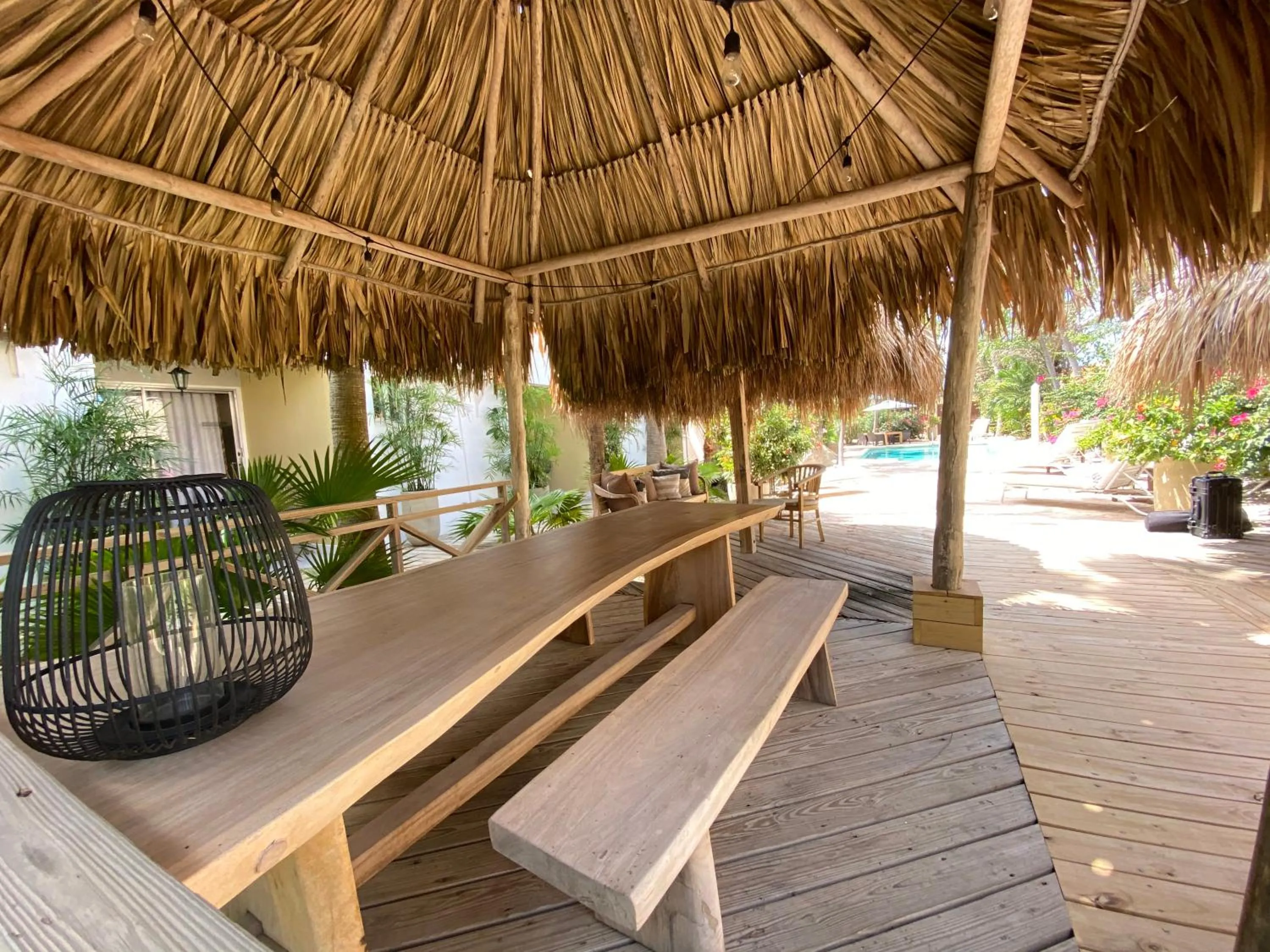 Garden in Paradera Park Aruba