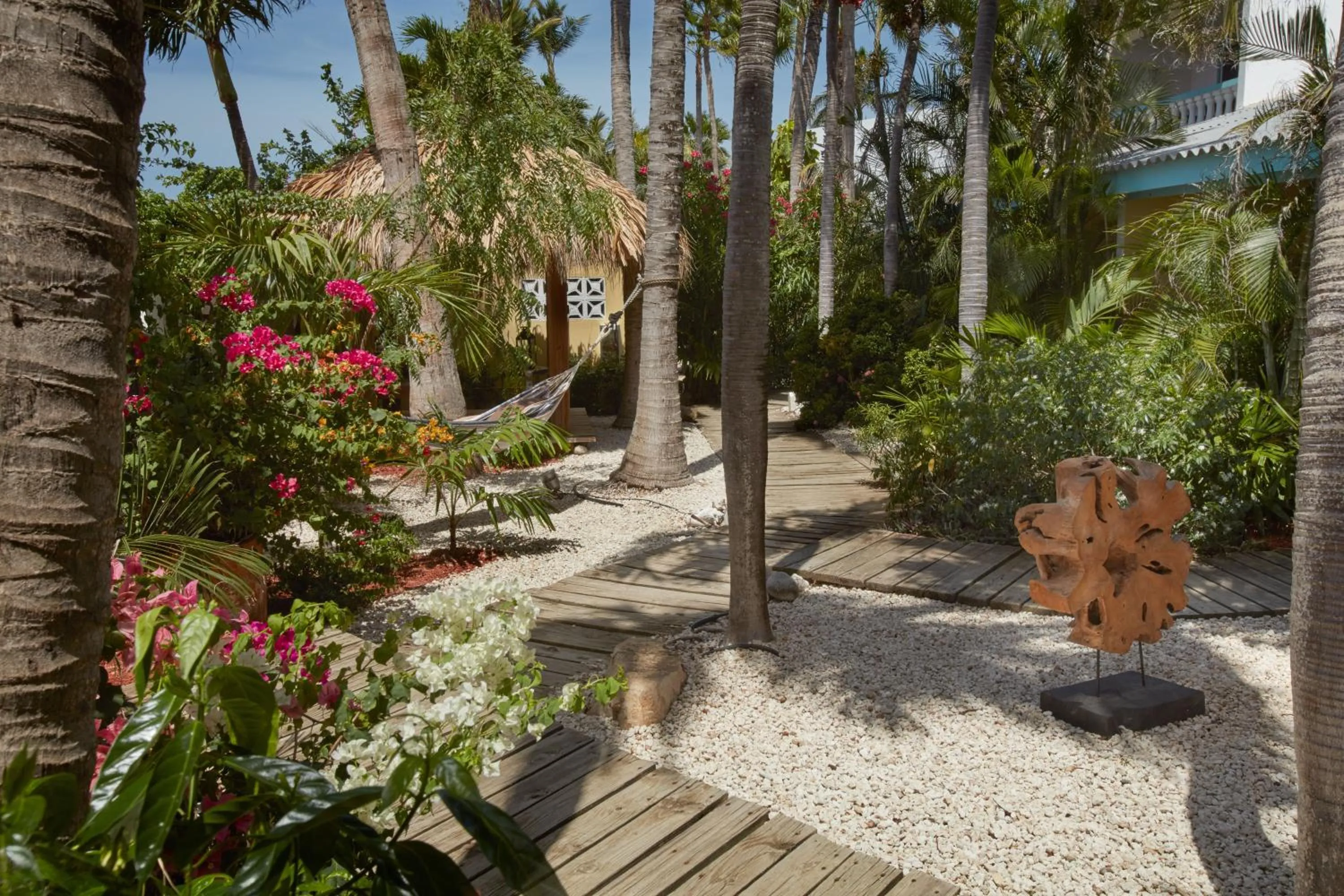 Garden in Paradera Park Aruba