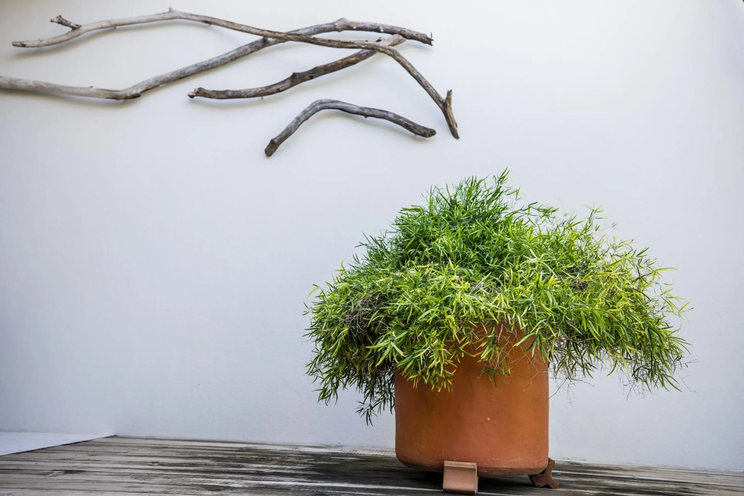 Patio in Paradera Park Aruba