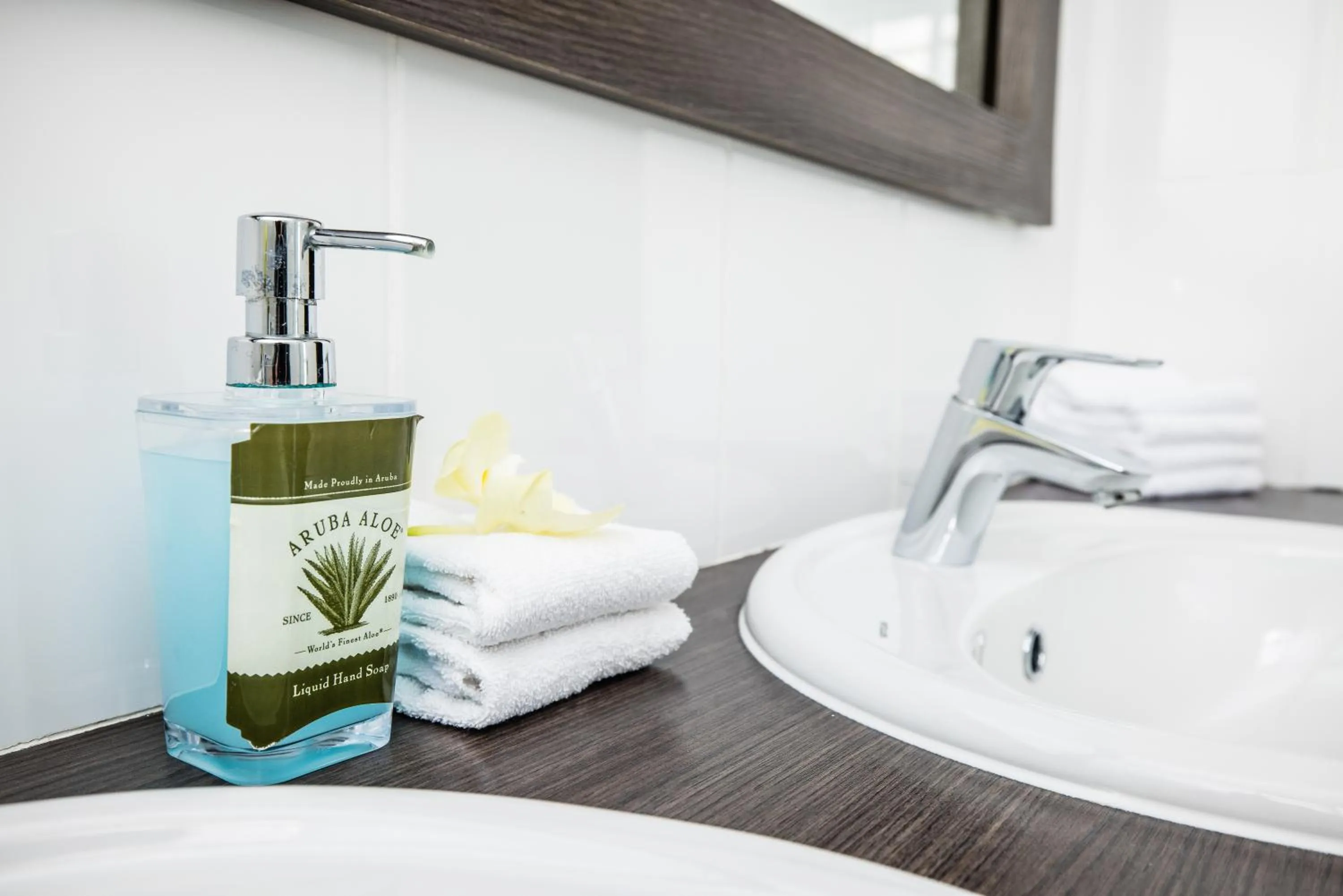 Bathroom in Paradera Park Aruba