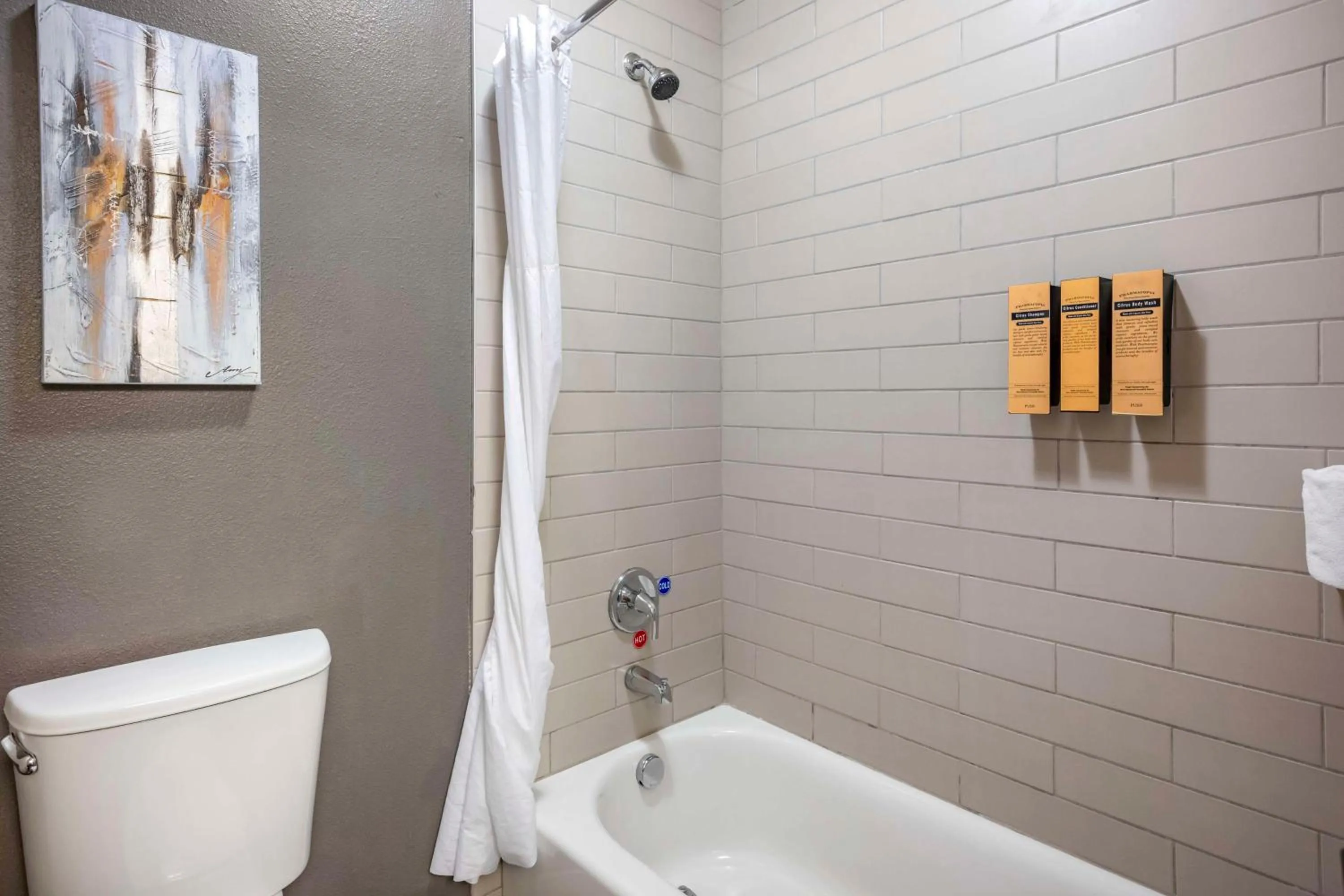 Bathroom in Best Western PLUS Peppertree Airport Inn