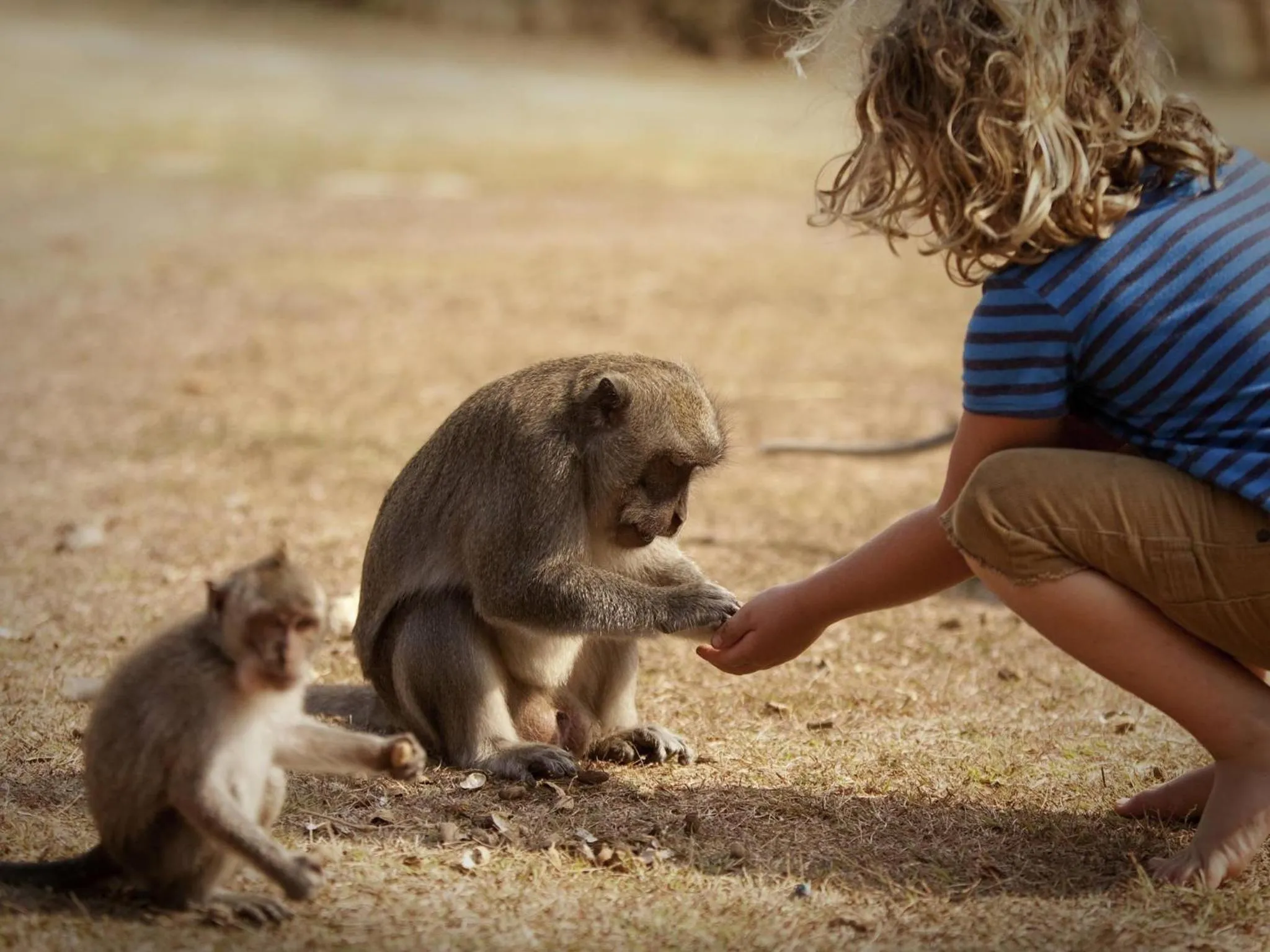 Other in Novotel Lombok Resort & Villas