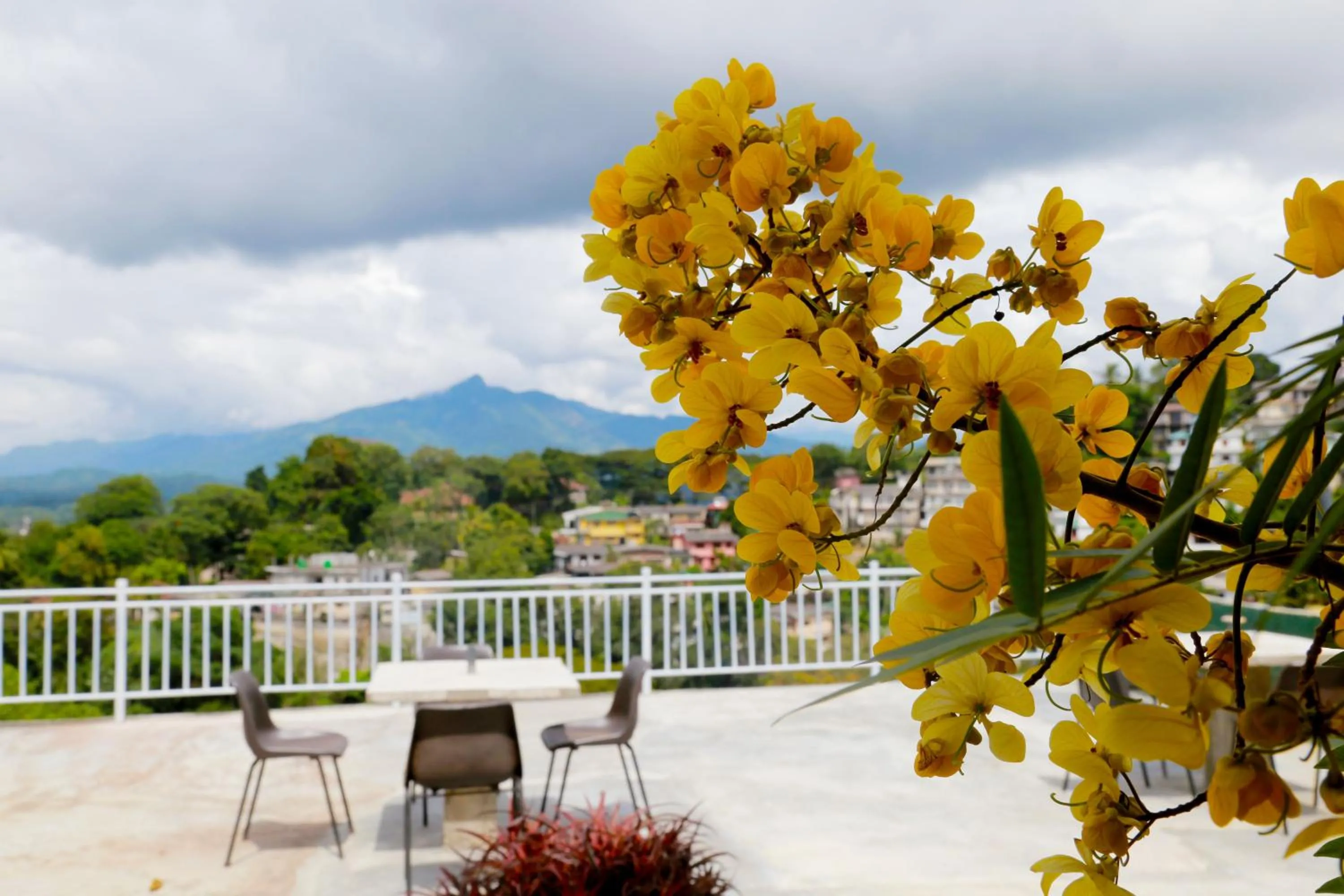 Villa Serene
