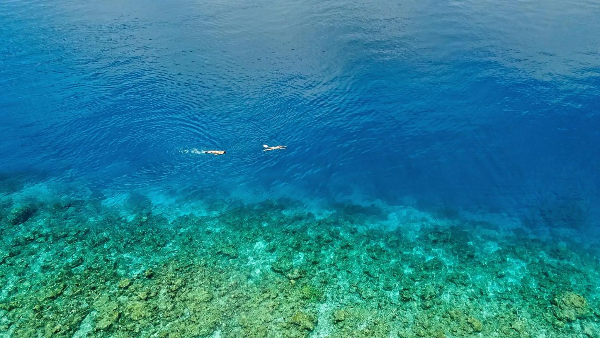 Day in Paguro Beach Inn