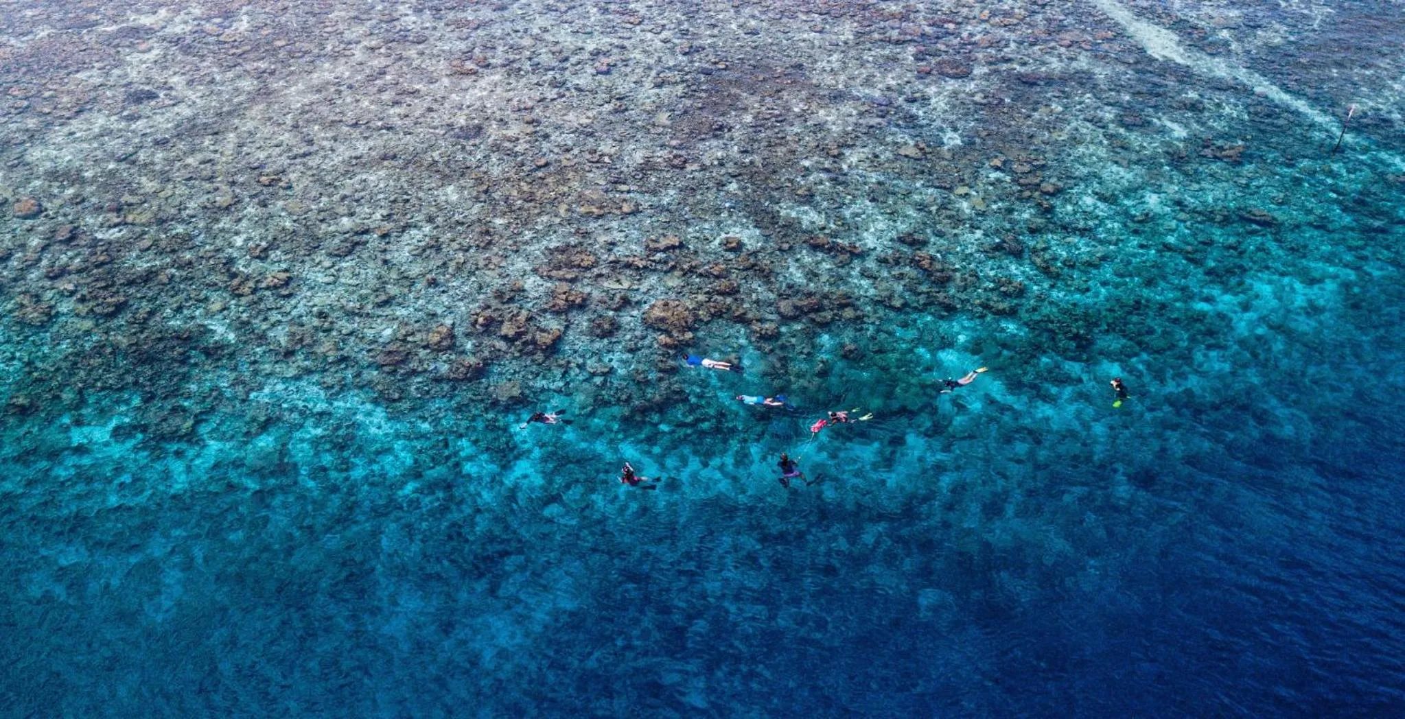Snorkeling in Paguro Beach Inn
