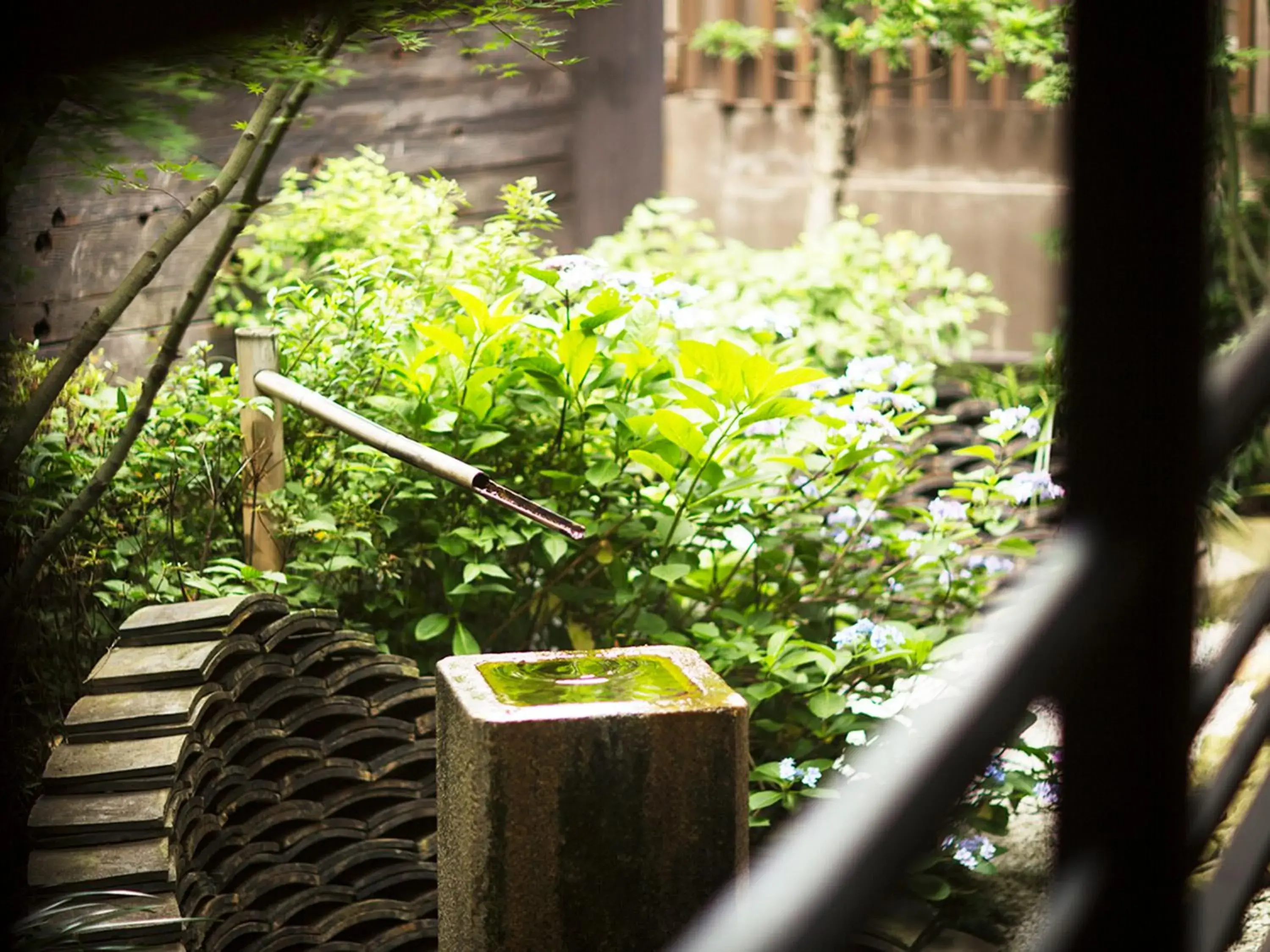 Lobby or reception in Migiwatei Ochi Kochi Lobby or reception in Migiwatei Ochi Kochi