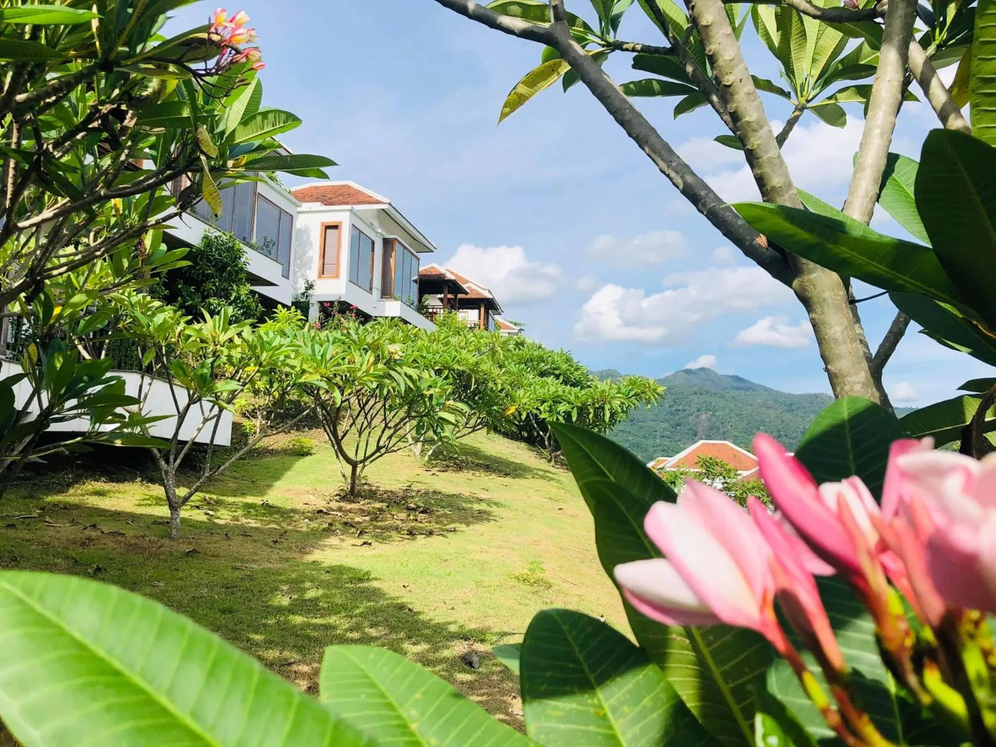 Garden in Le Grand Pakbeng