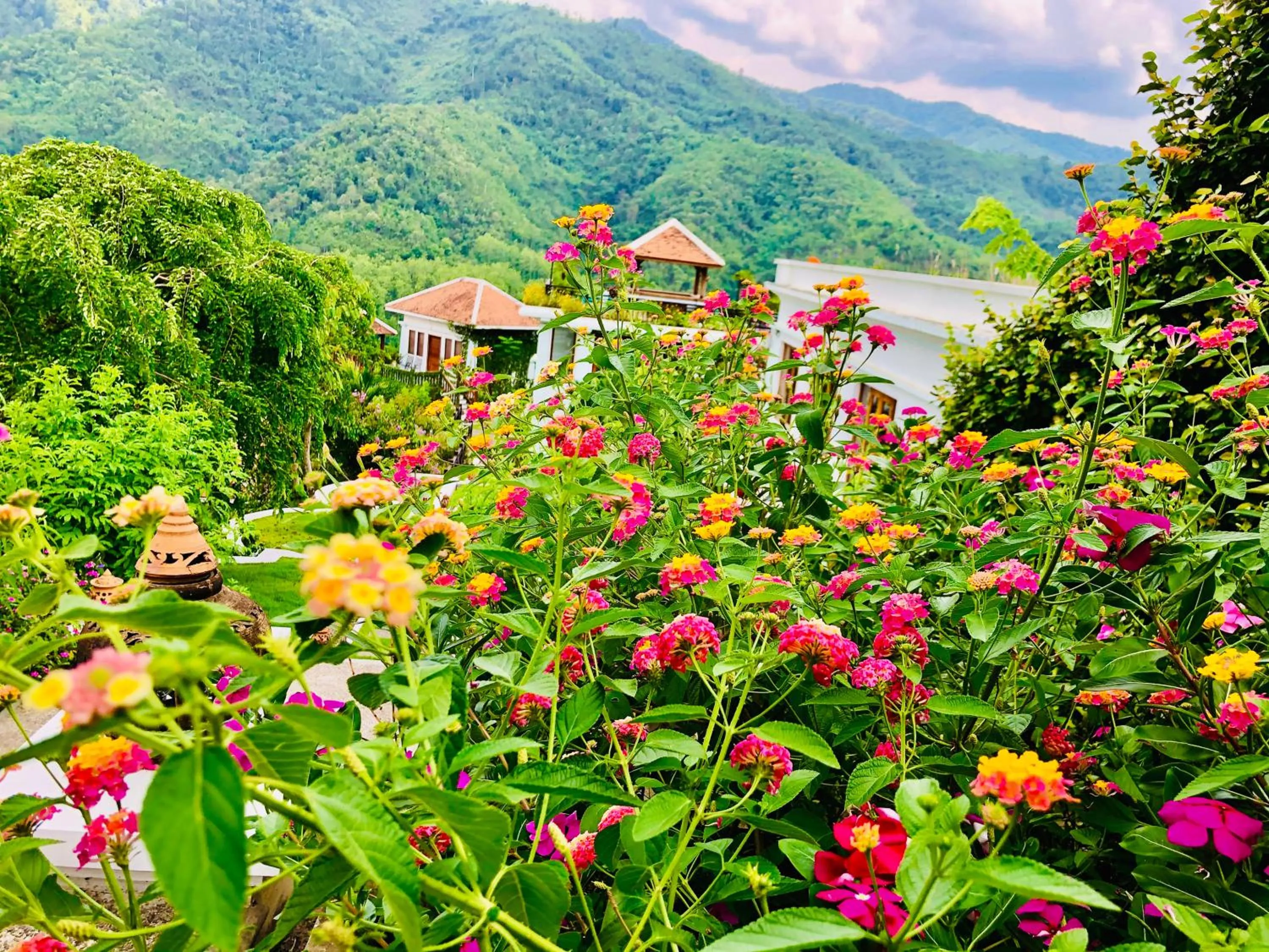 Garden view in Le Grand Pakbeng
