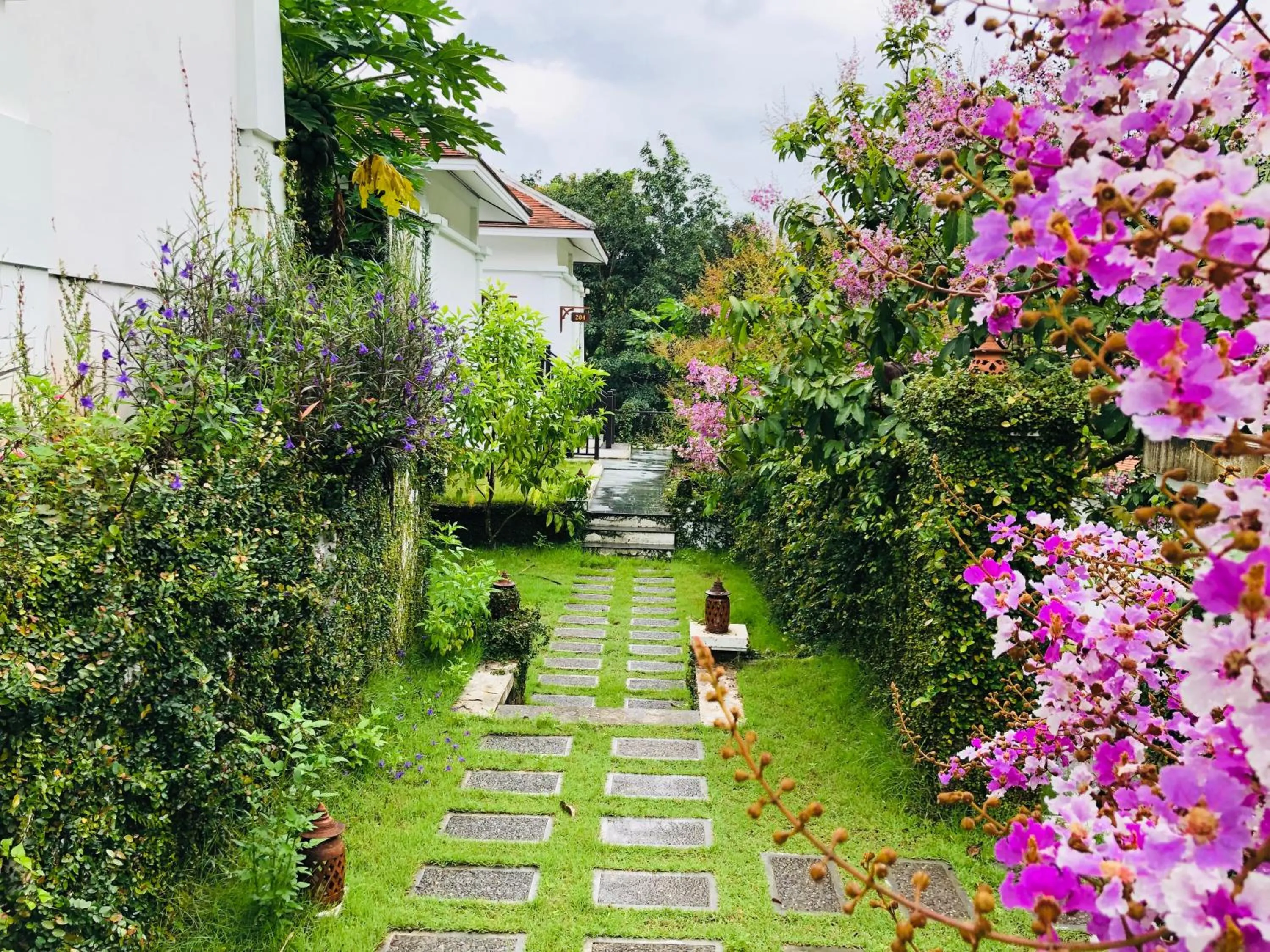 Garden in Le Grand Pakbeng