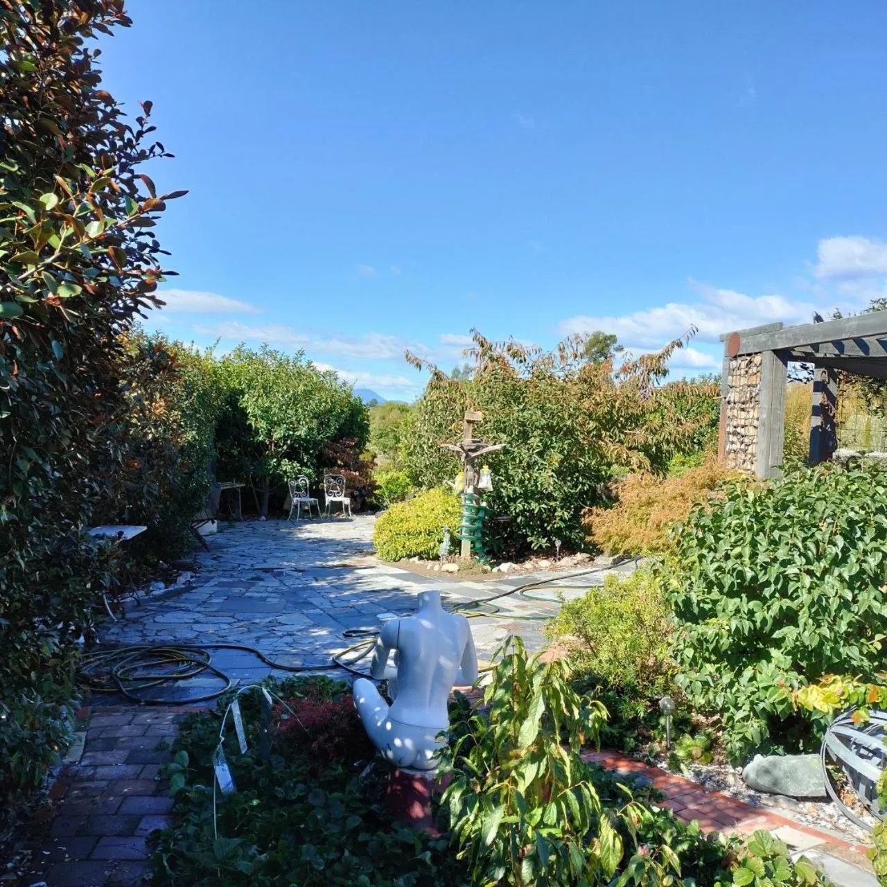 Redwood Valley B & B