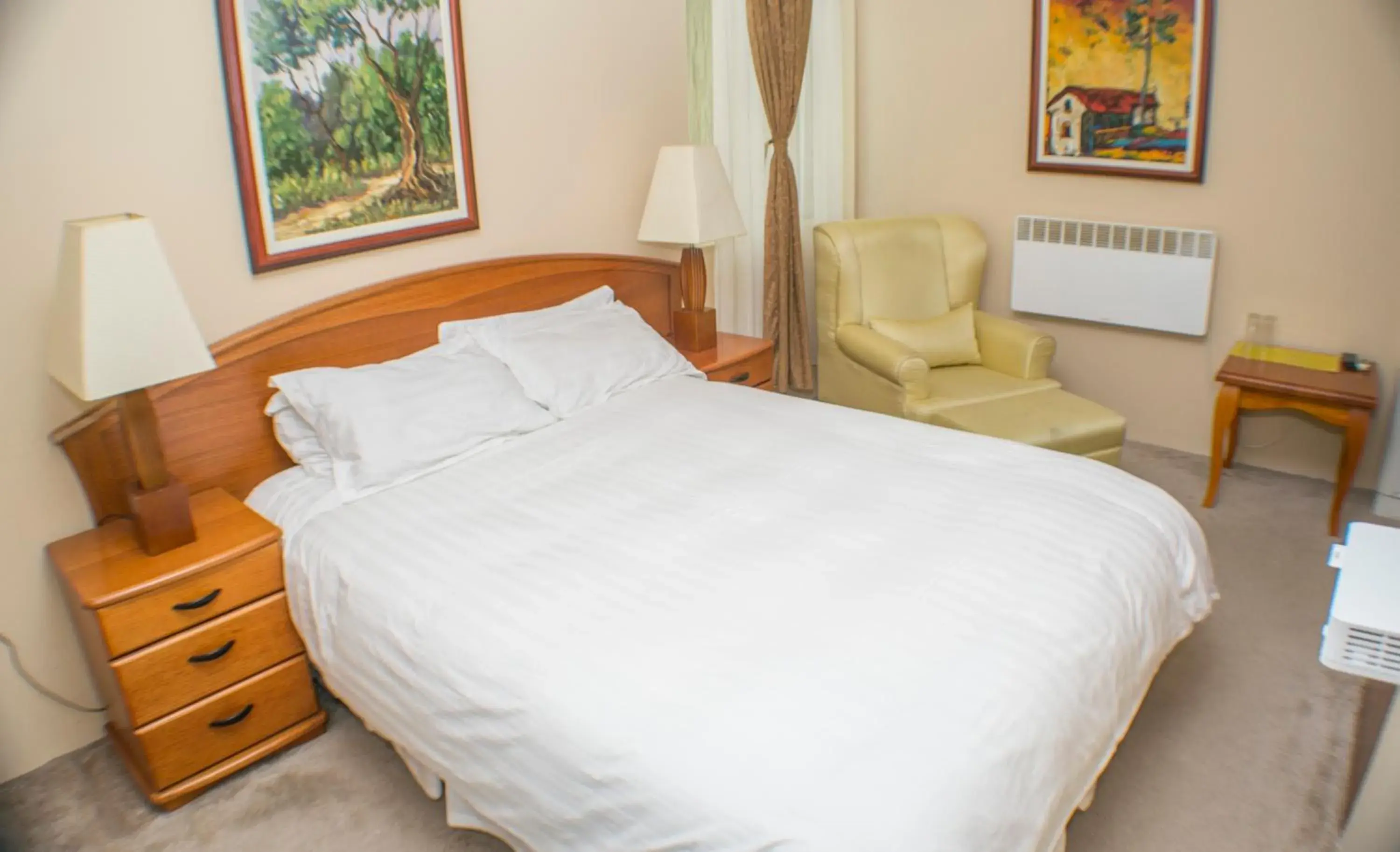 Double Room - single occupancy in Hotel Feni Double Room - single occupancy in Hotel Feni