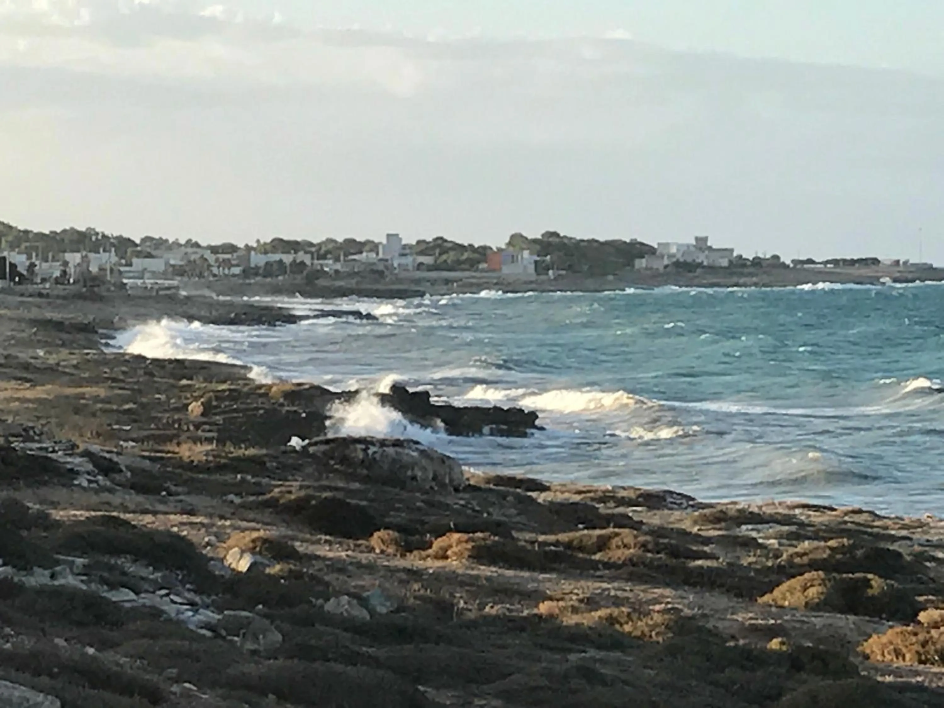 Beach in Albergo Europa