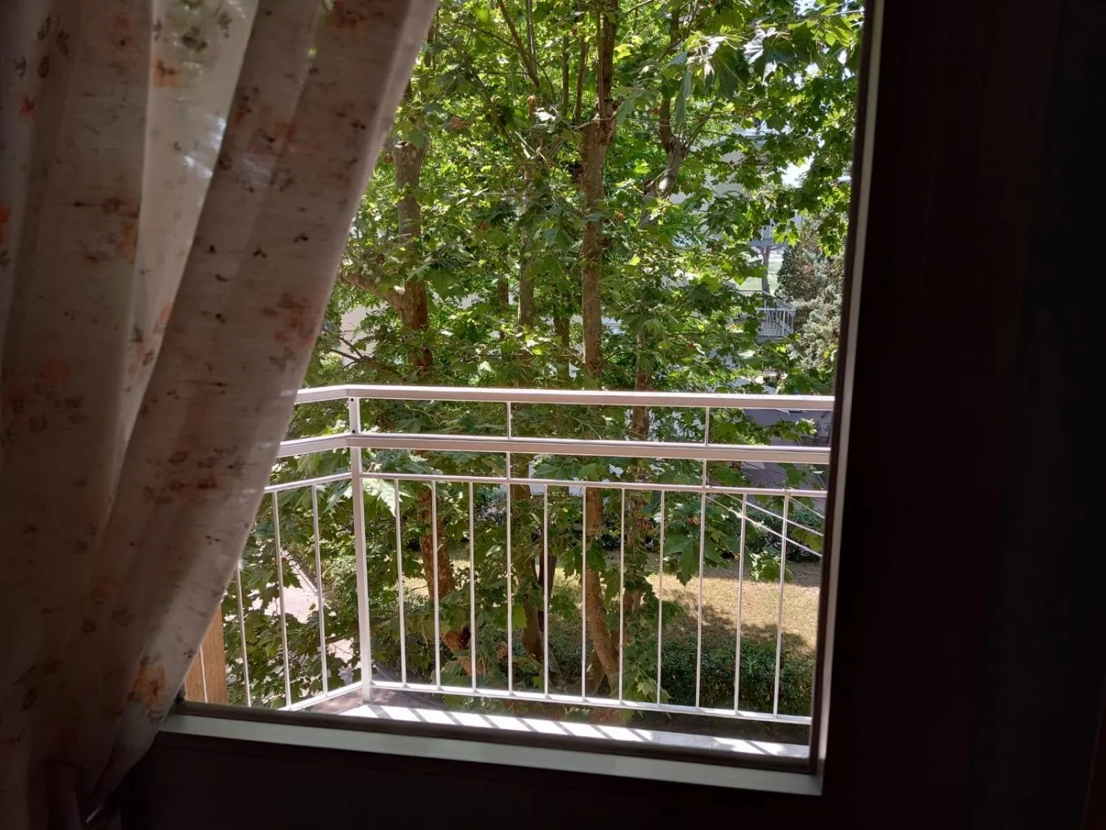 View (from property/room) in Hotel Toschi