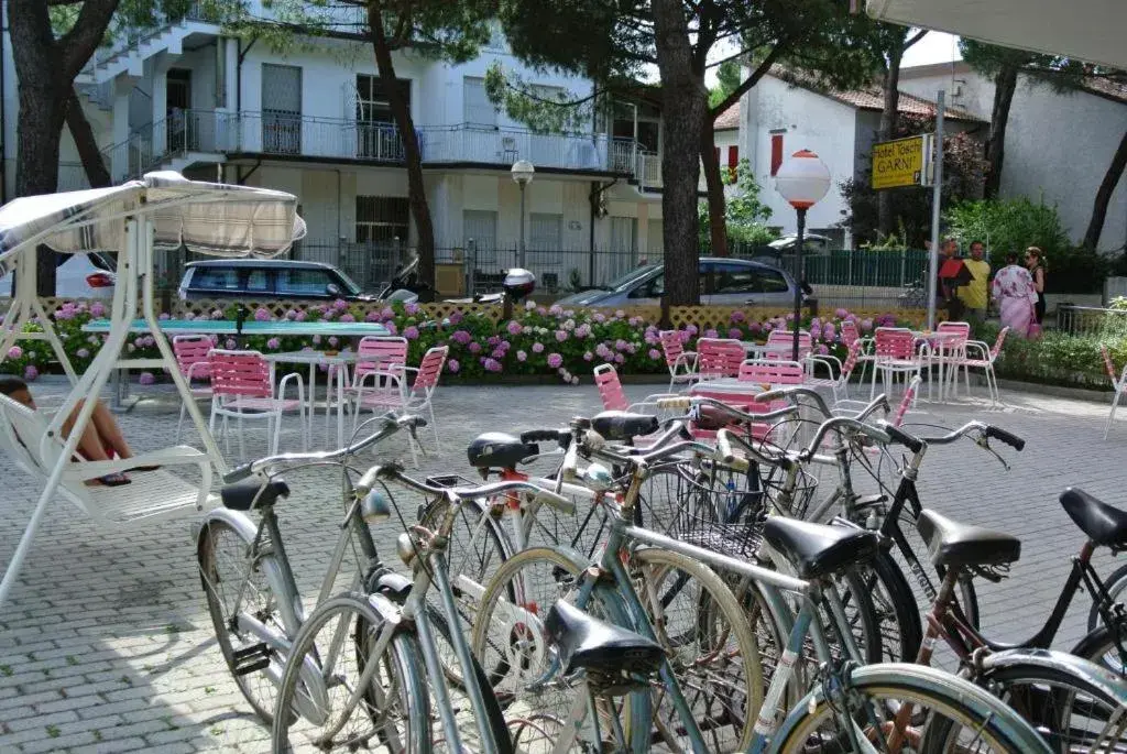 Cycling, Other Activities in Hotel Toschi