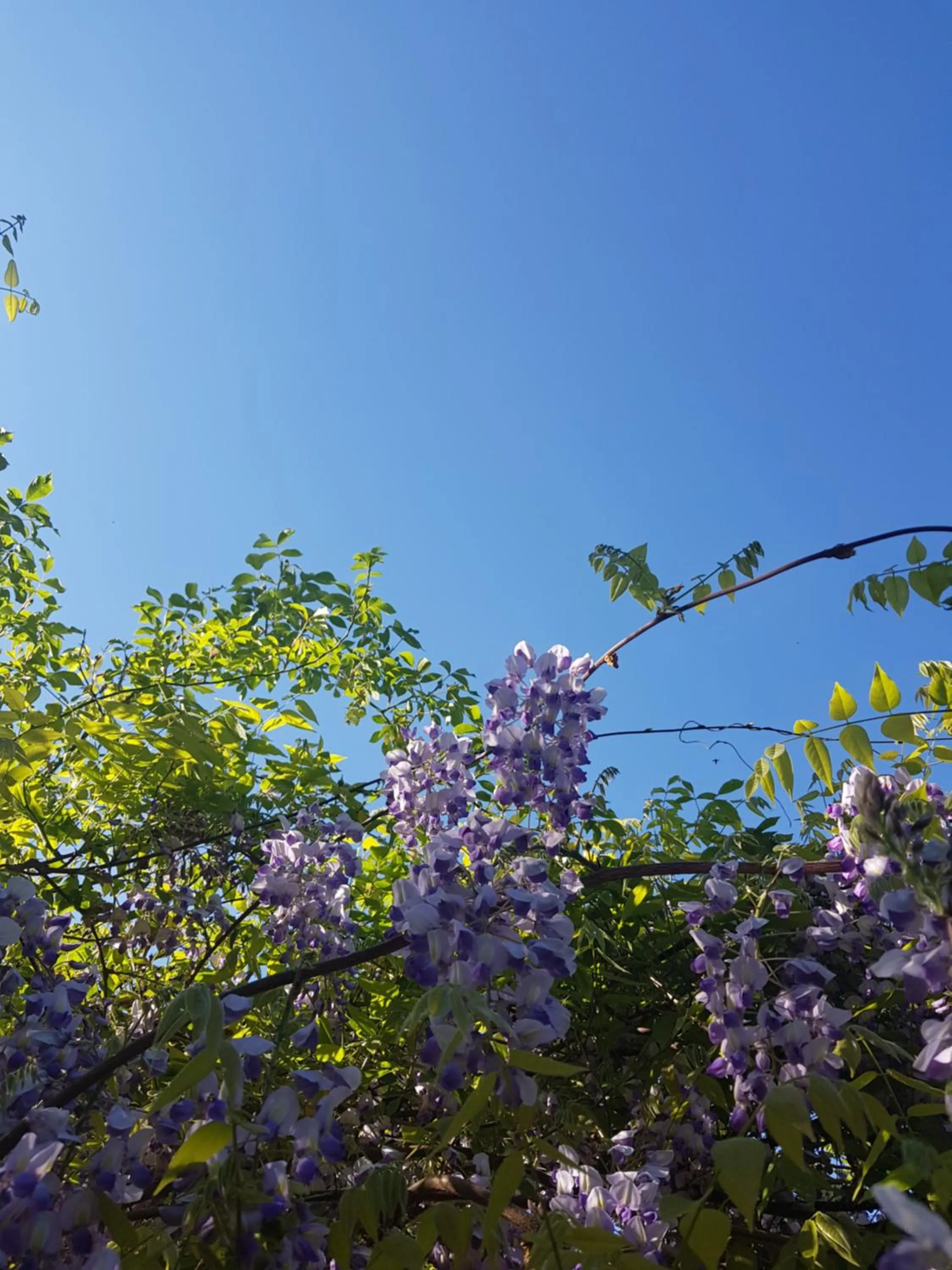 Summer in Hotel KAMPS