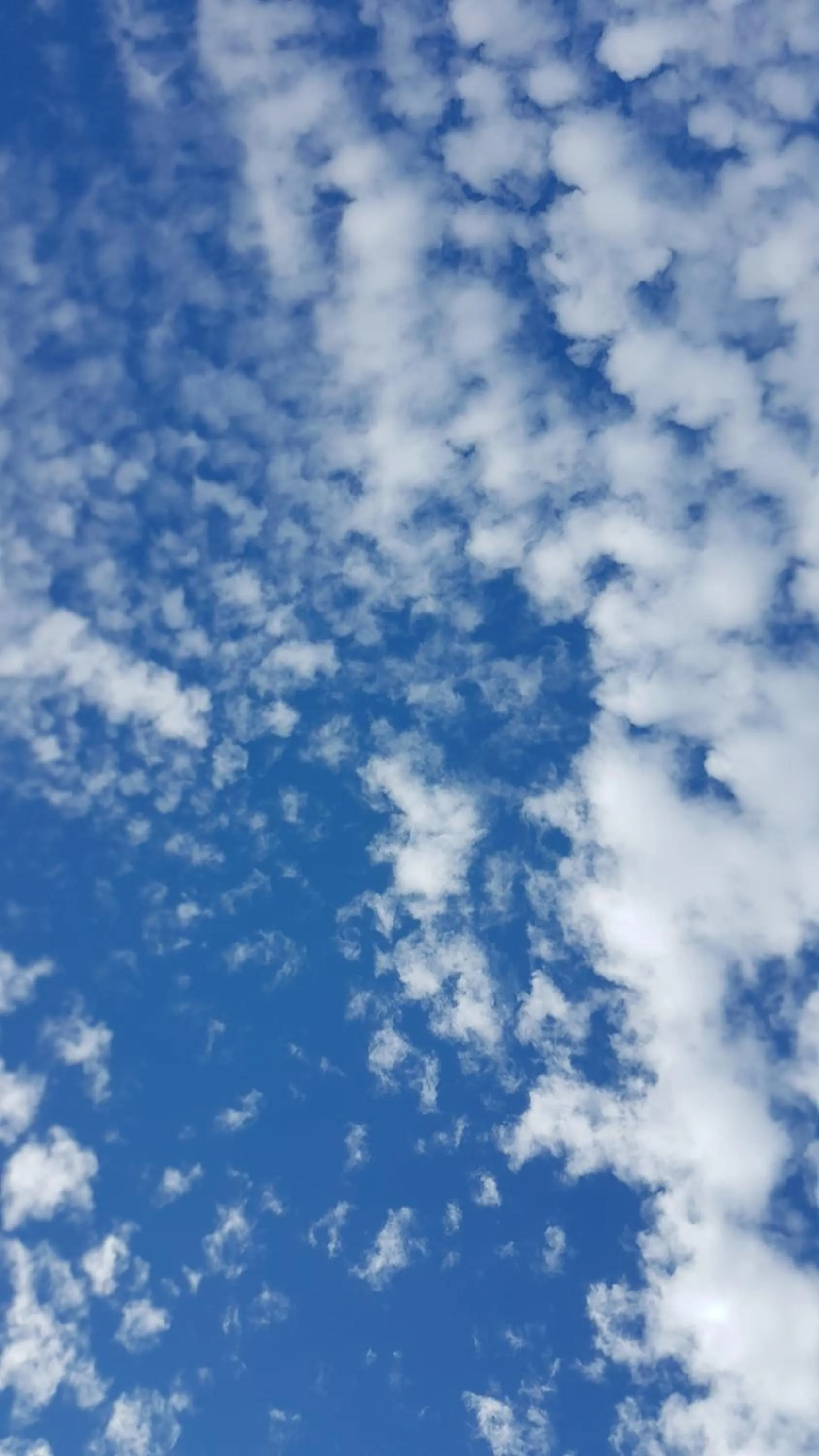 Other in Hotel KAMPS