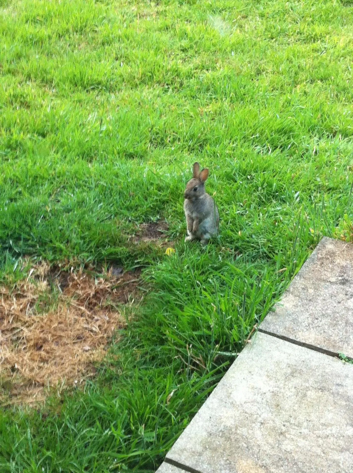 Jonti Bed And Breakfast